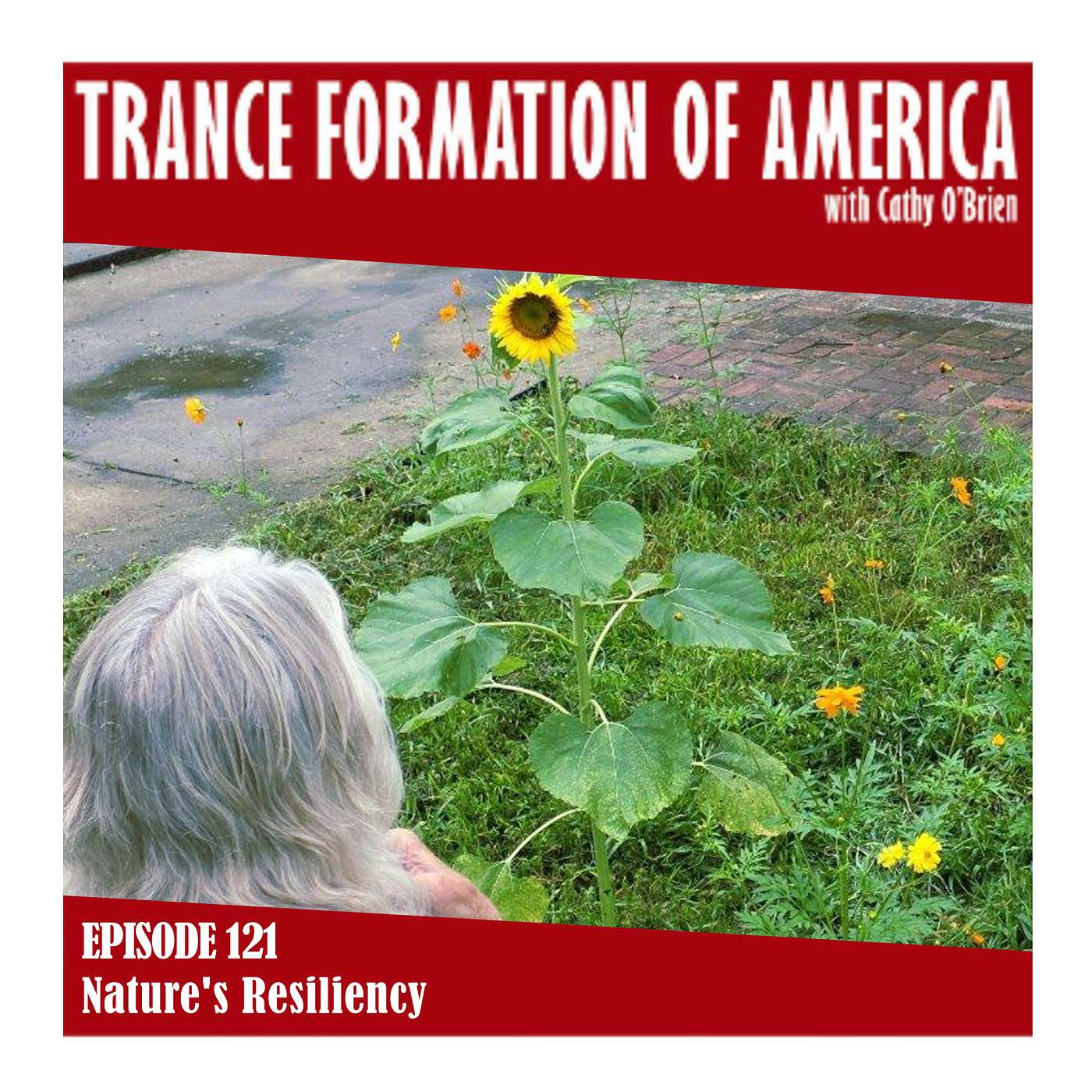 Nature's Resiliency