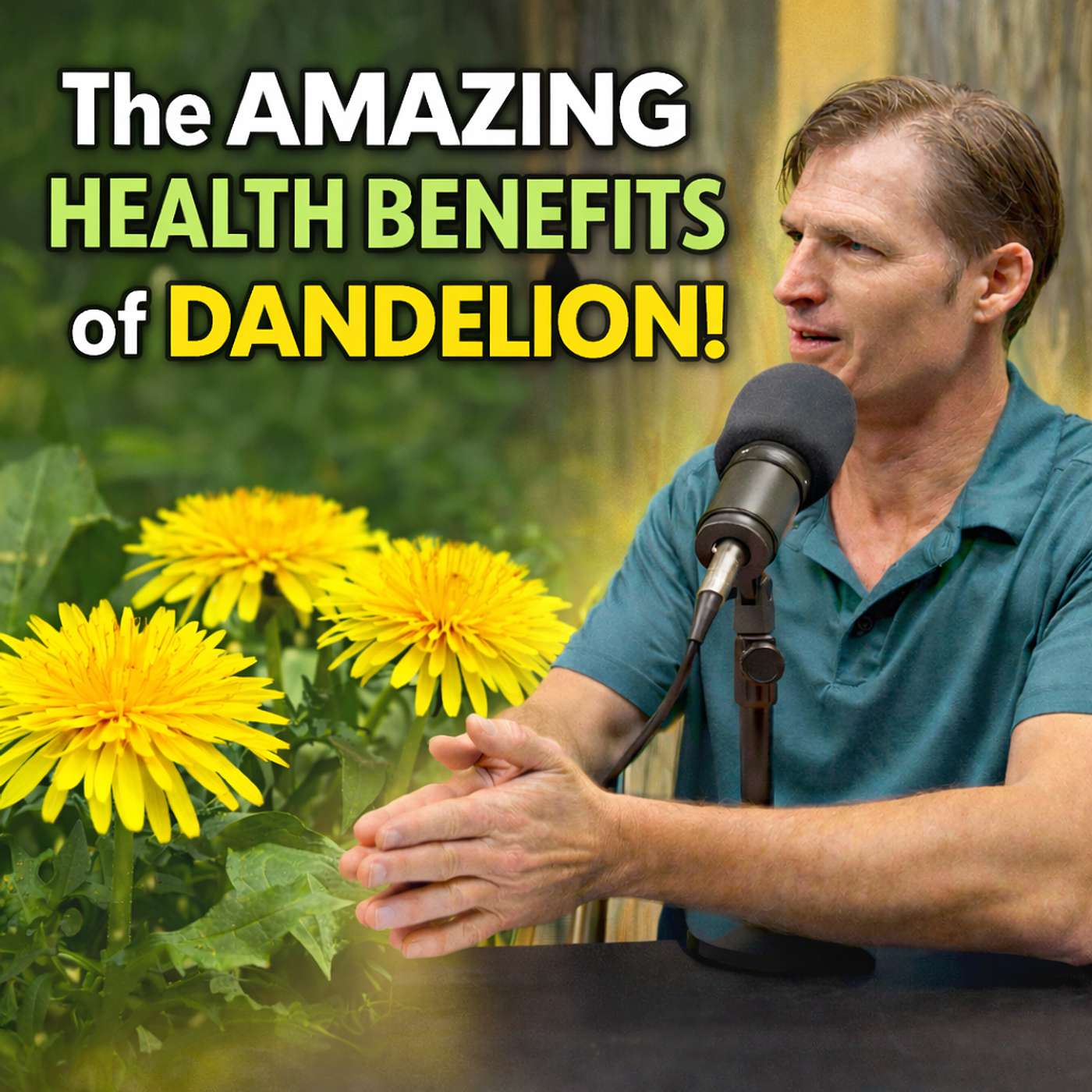How Dandelion Can Help You Heal — And Prevent Disease