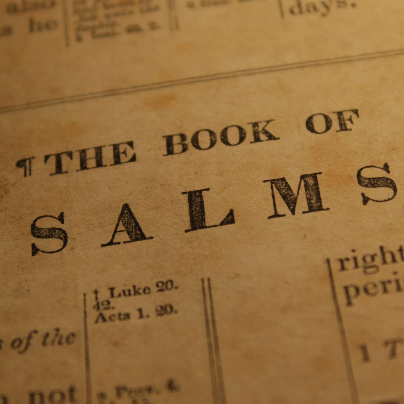 THE PSALMS: PSALM 1 Part 6