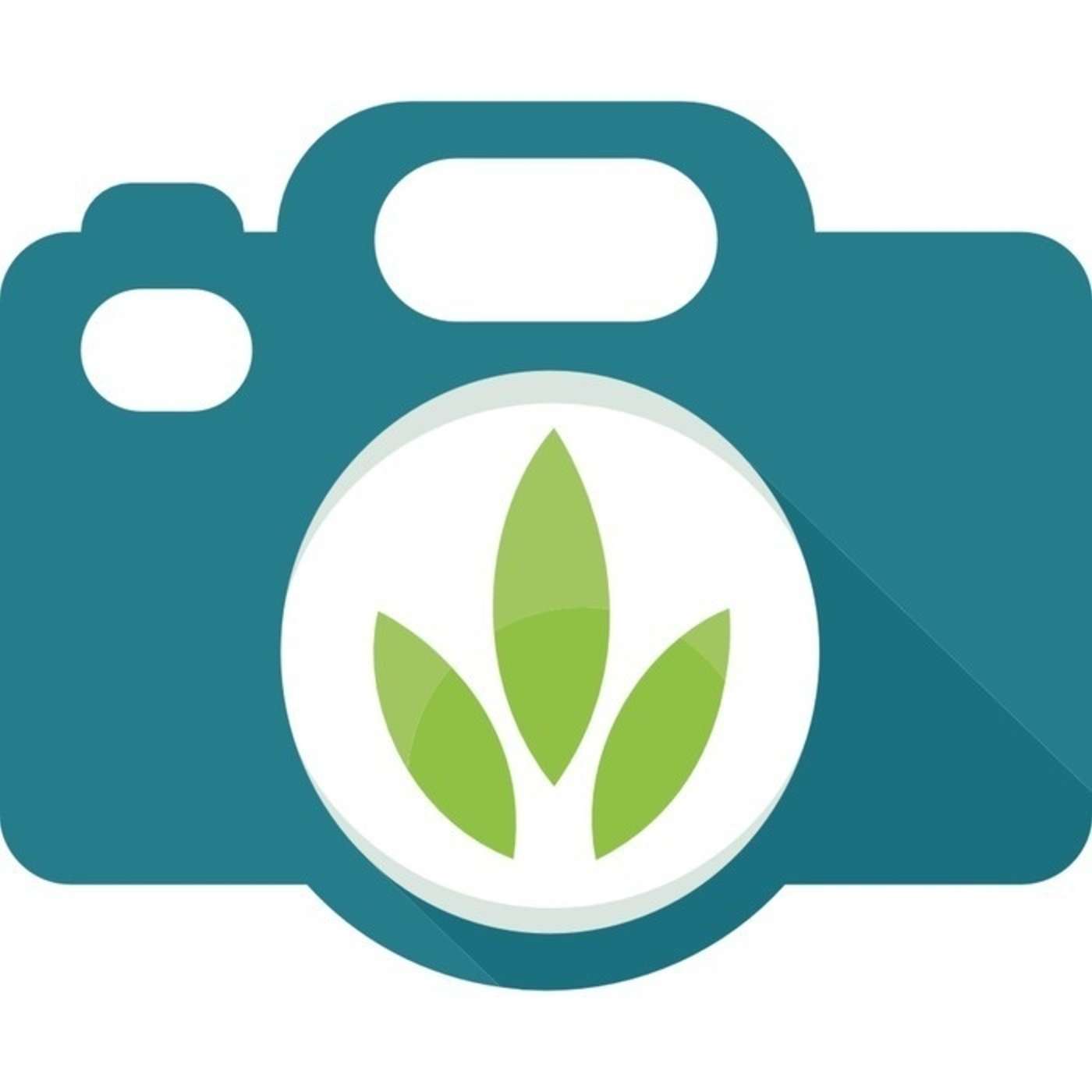 Interview With Beth Forester of Animoto