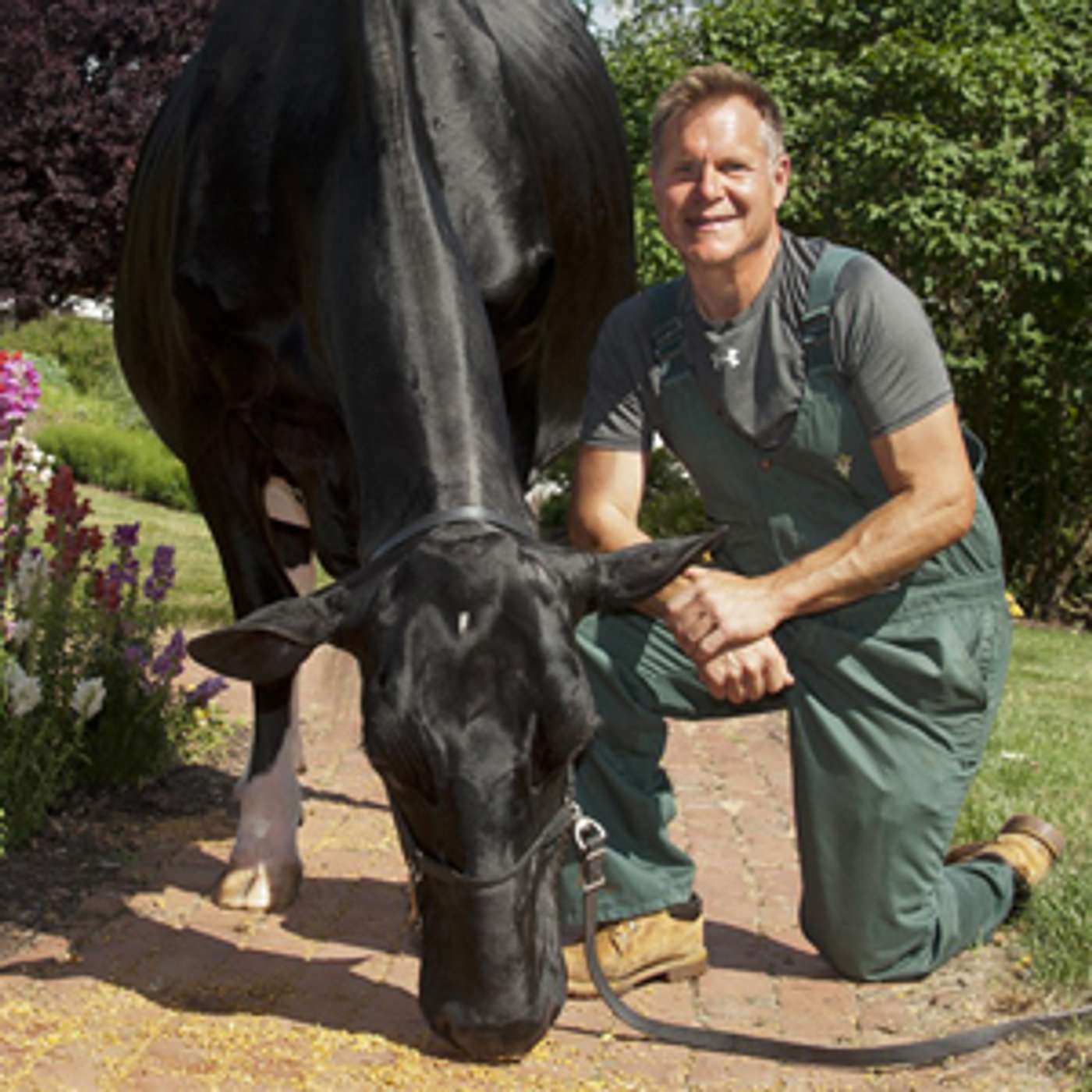 DairyVoice Podcast