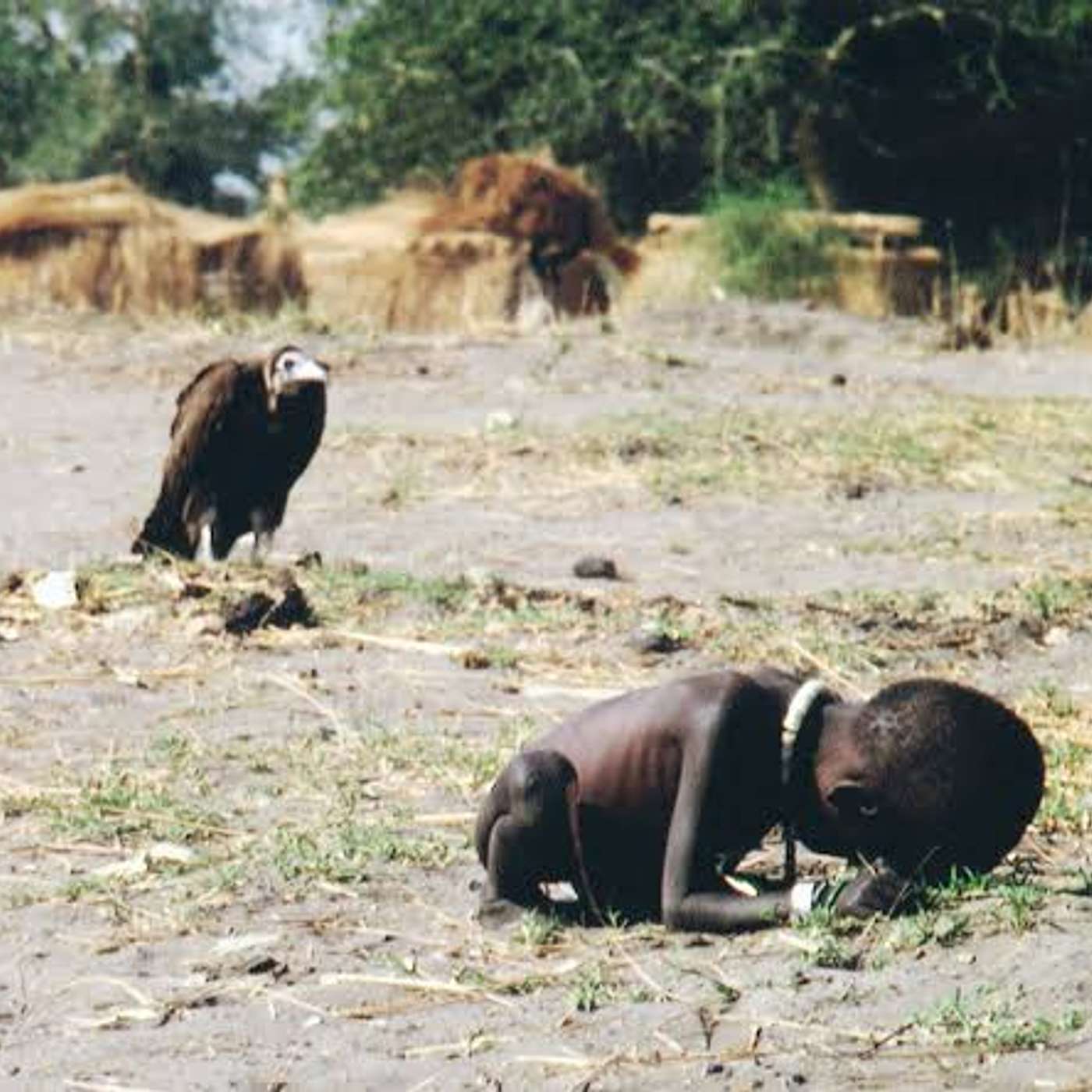 Il bambino e l'avvoltoio: foto che cambiò per sempre Kevin Carter episode artwork