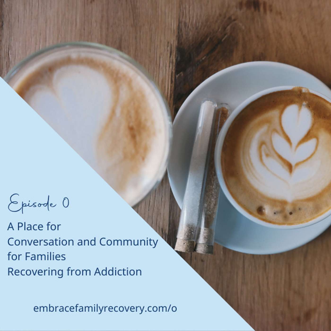 The Embrace Family Recovery Podcast