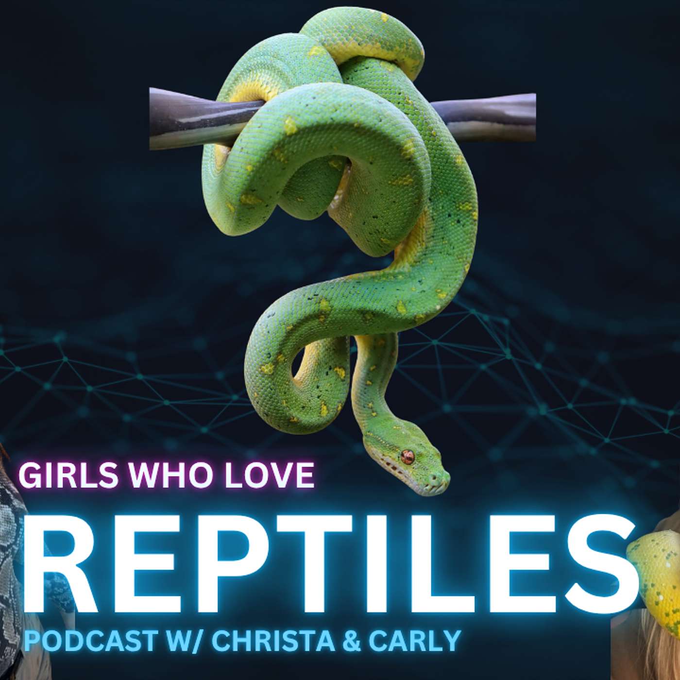 Exploring The Diversity In Arboreal Snakes | Girls Who Love Reptiles Podcast (Live)