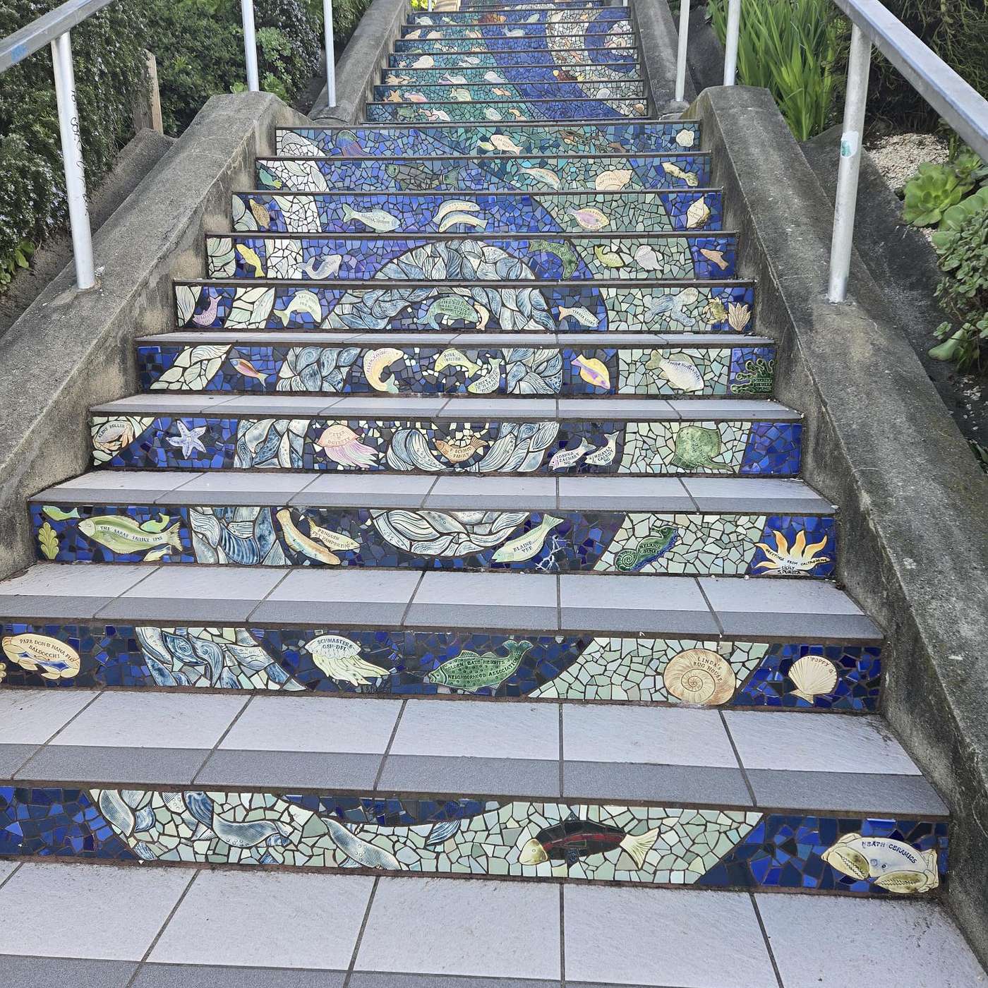 Your Guide to San Francisco Stairways!