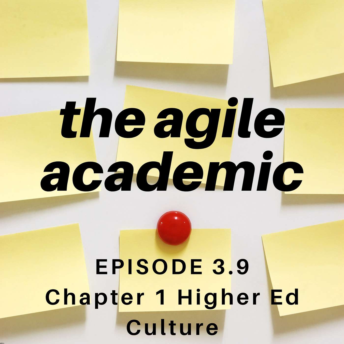 the agile academic