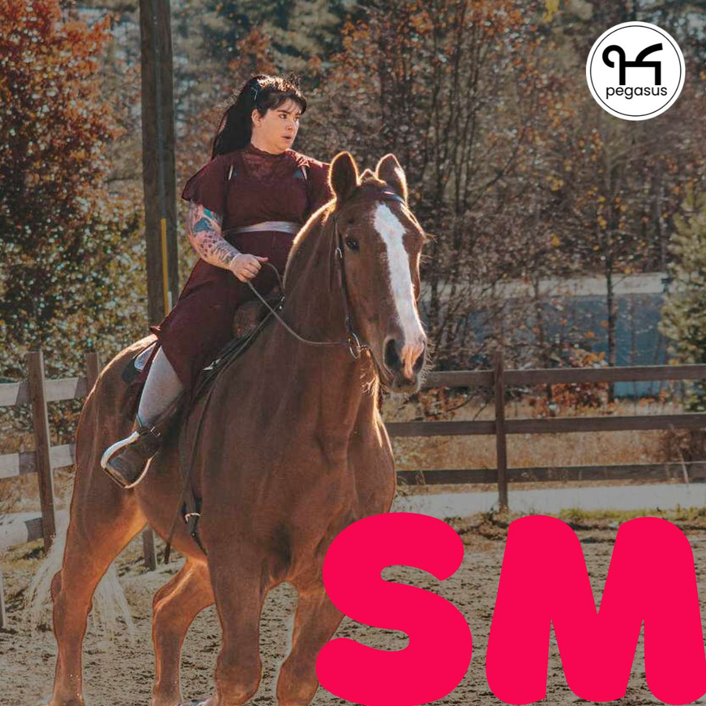 How to Get a Front-Row Seat to Your Regional Equestrian Industry