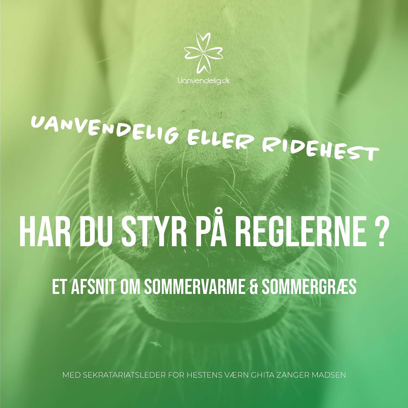 Har du styr på reglerne? - Et afsnit om sommervarme og sommergræs - Med Ghita Zanger Madsen fra Hestens Værn episode artwork