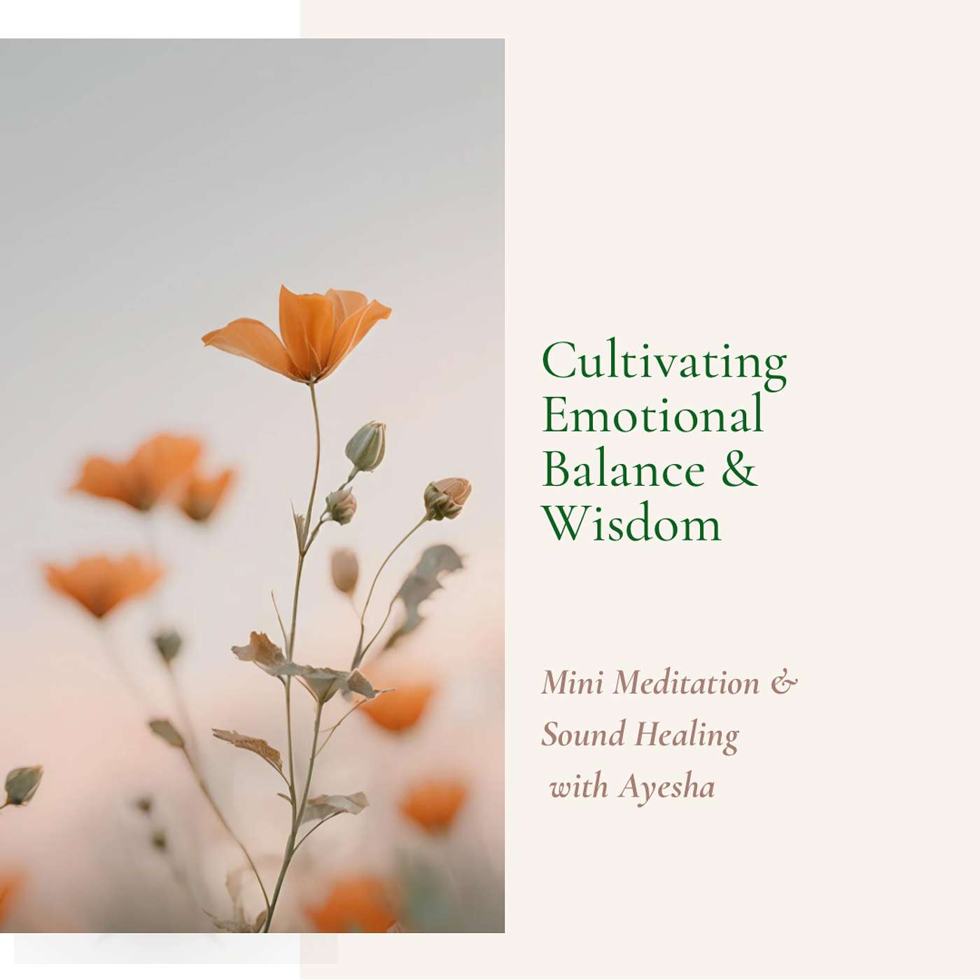 Cultivating Emotional Balance & Inner Wisdom