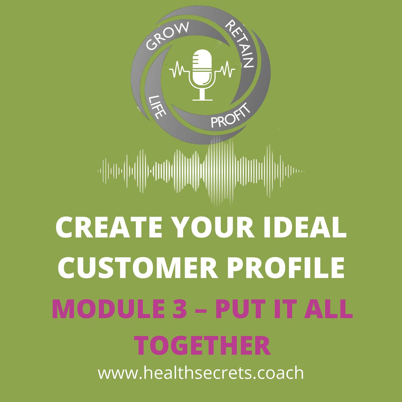 12. Create Your Ideal Patient Profile - Module 3 – Put it All Together