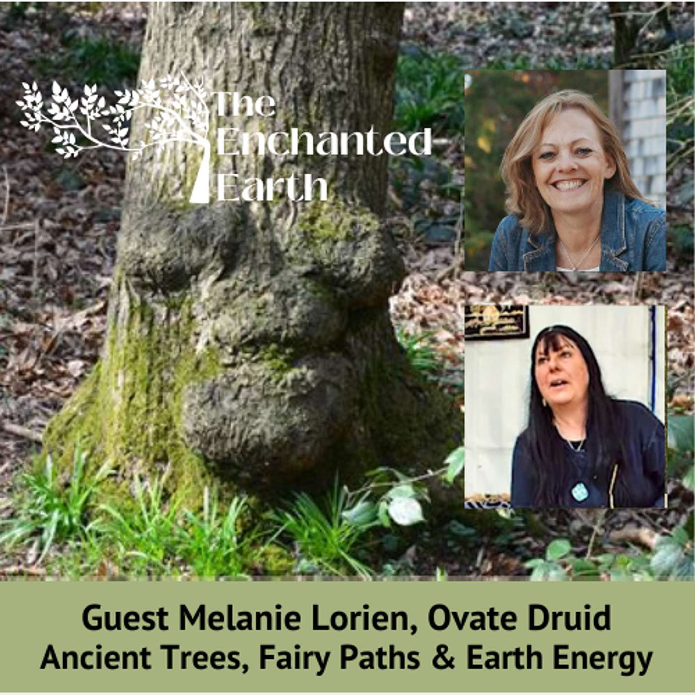 Tree Spirits, Dryads & Ancient Woods | The Enchanted Earth Podcast Tree Spirits, Dryads & Ancient Woods | The Enchanted Earth Podcast