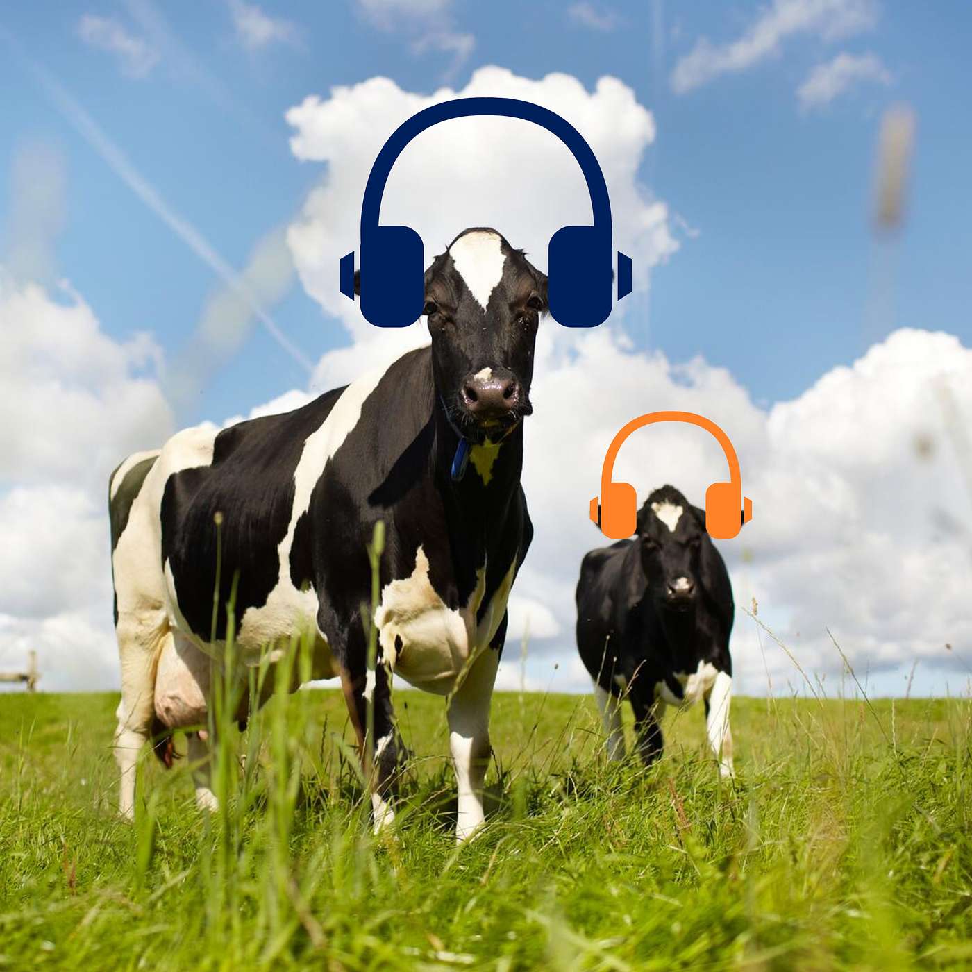 De Yara Podcast