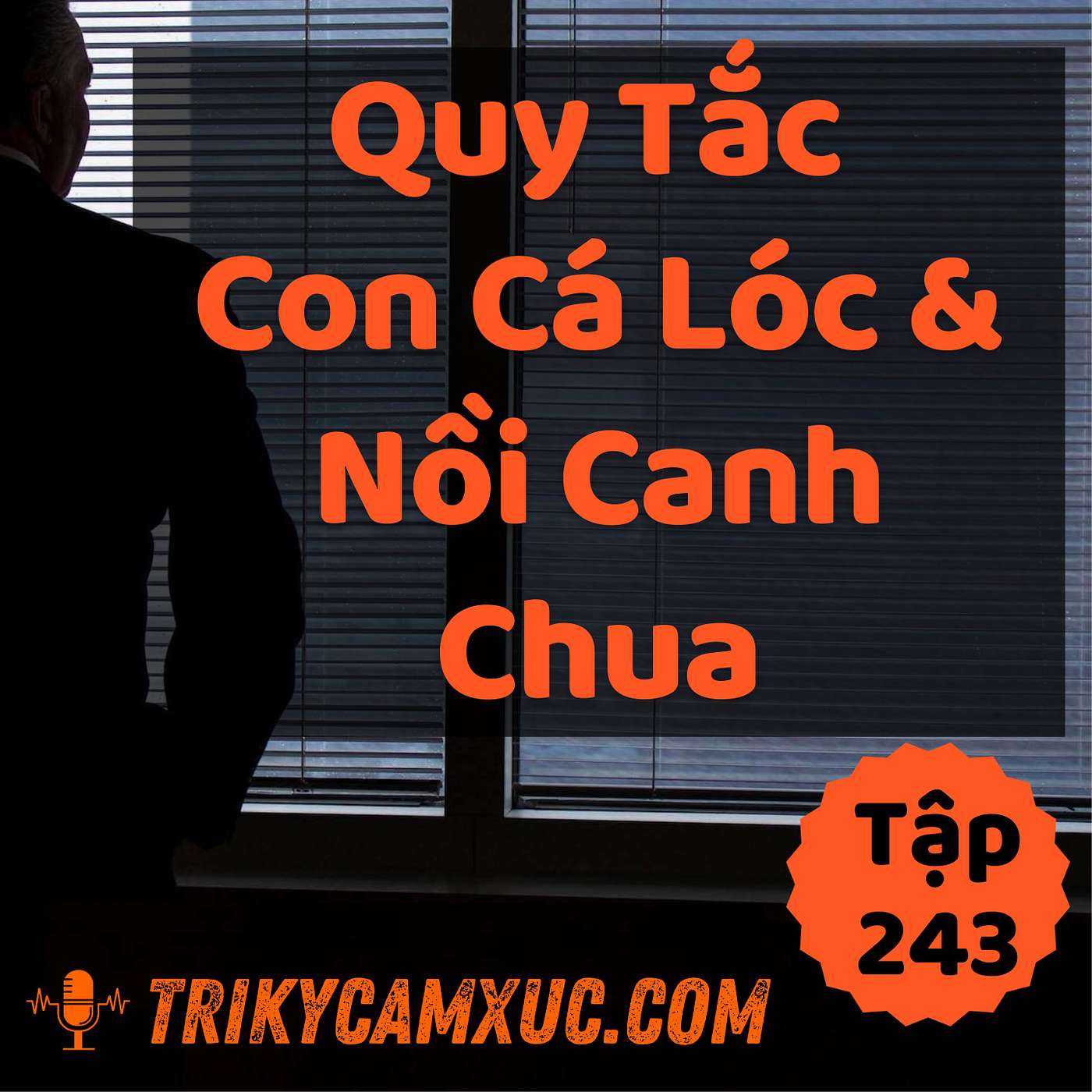 Quy Tắc "Con Cá Lóc Và Nồi Canh Chua" - Tri kỷ cảm xúc #243