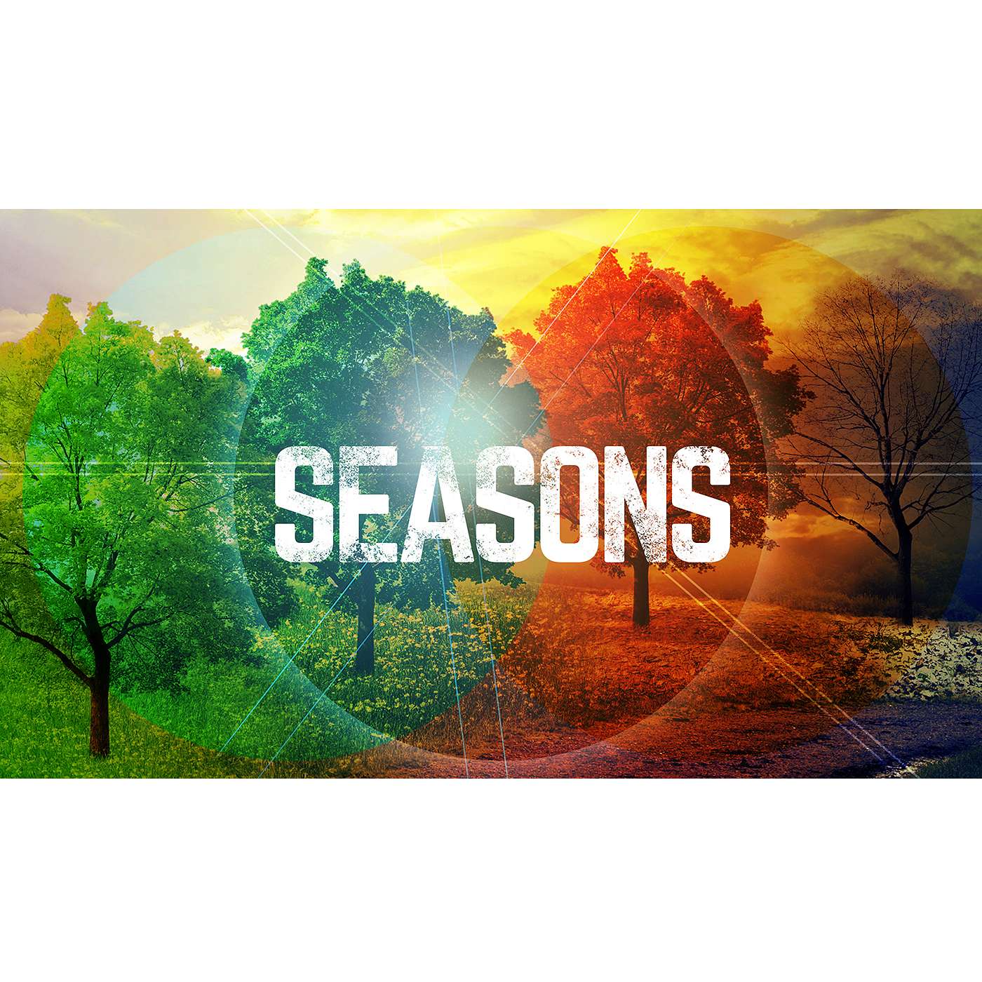 Pastor Bryan - 07/08/18 - Seasons pt5