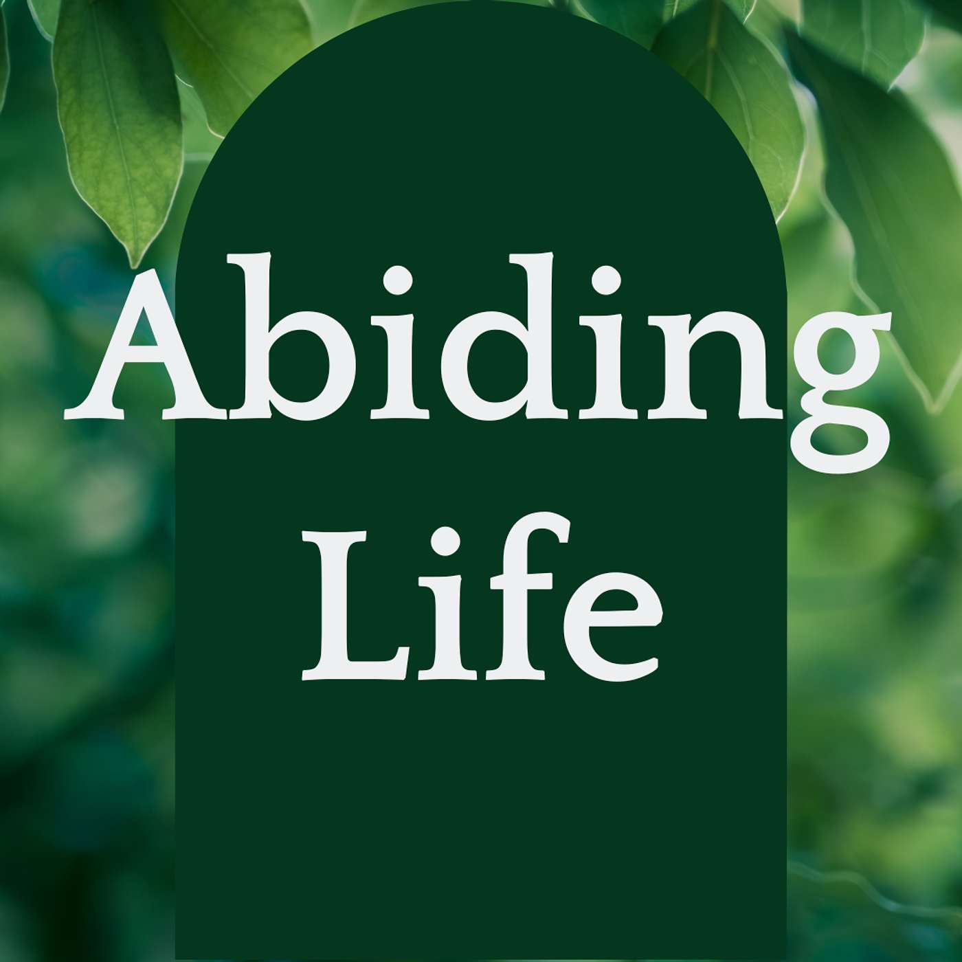 Abiding Life