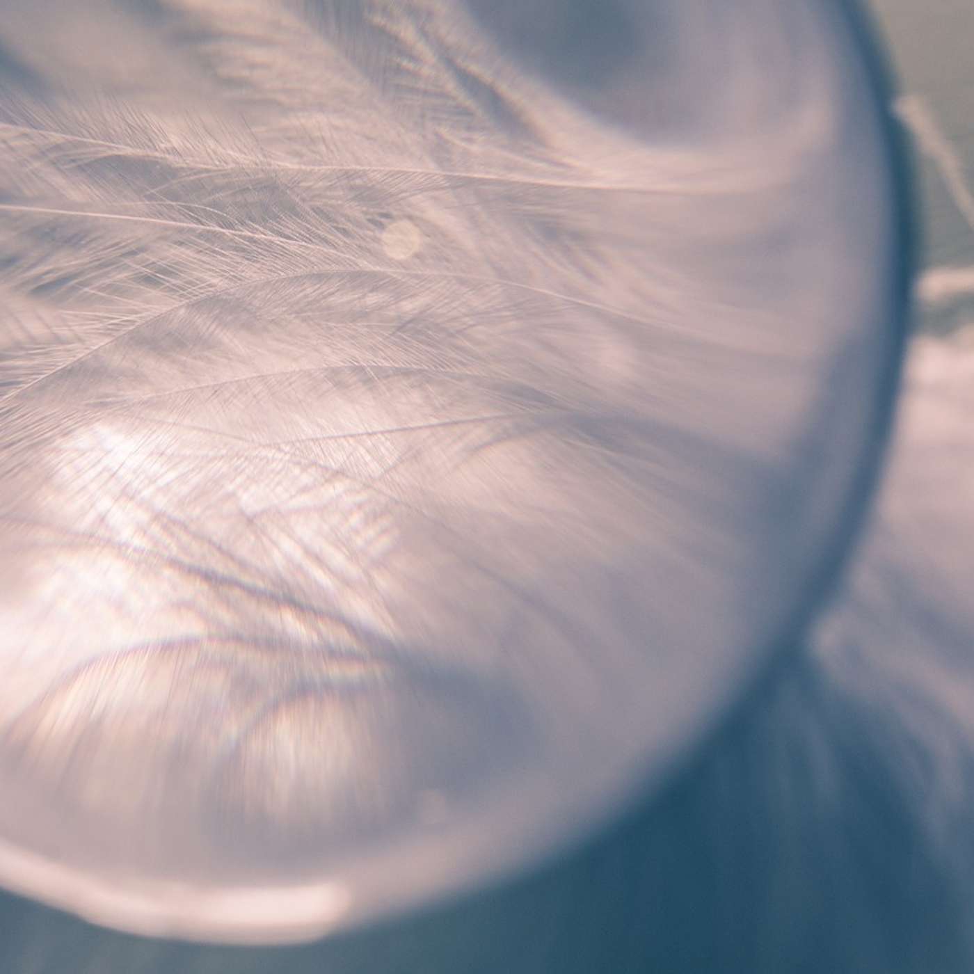 Gespräche mit dem Universum - Spiritualität, Bewusstsein, Seelenweisheiten