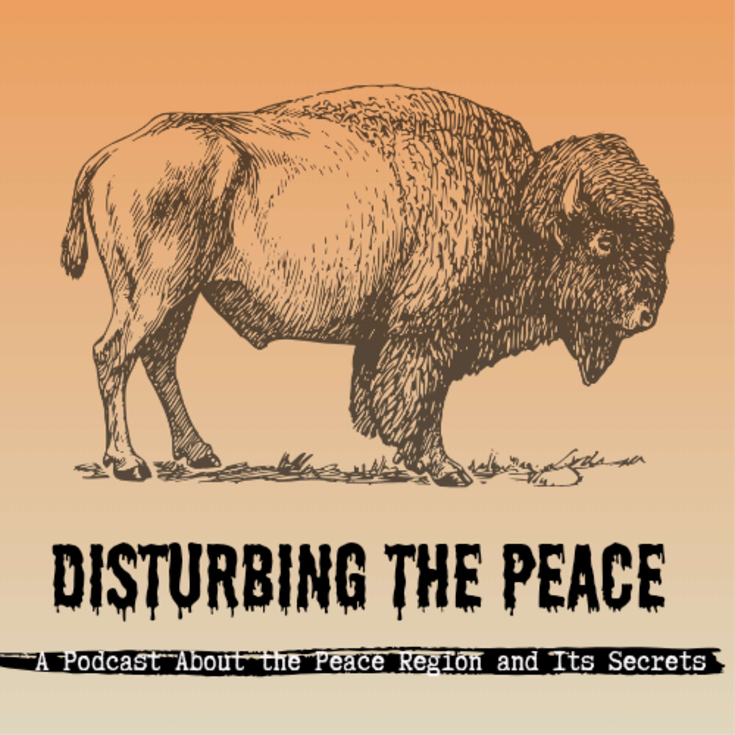 Disturbing The Peace podcast artwork