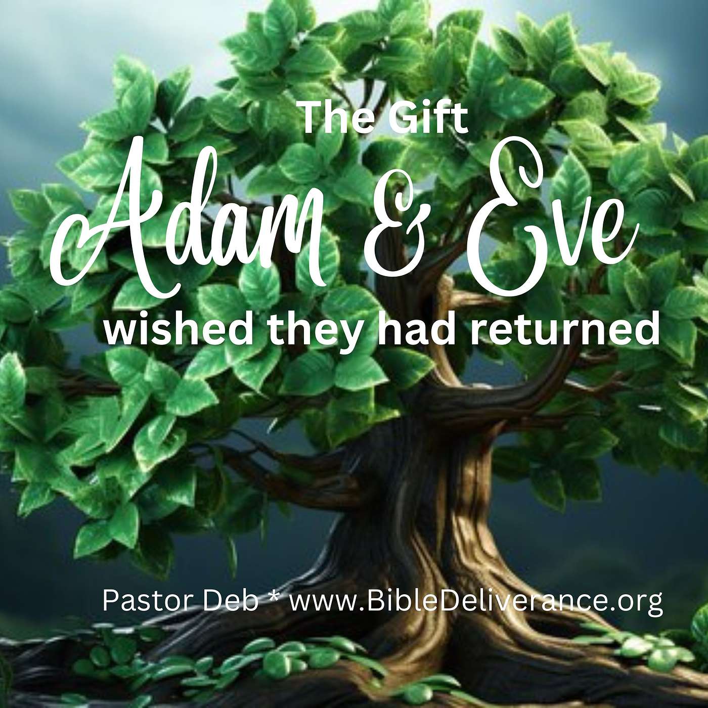 The Gift Adam & Eve Wished They Had Returned episode artwork