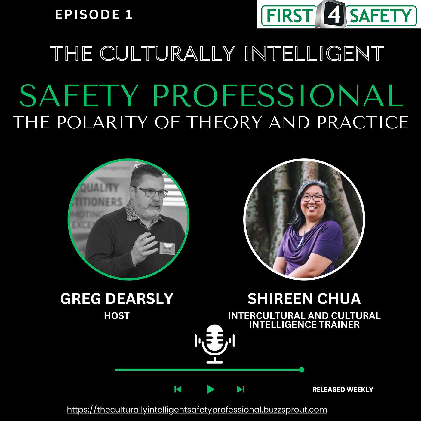 The Culturally Intelligent Safety Professional