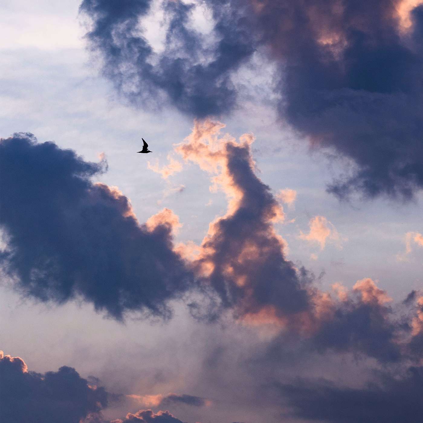 1 Corinthians: Freedom Framed by Love