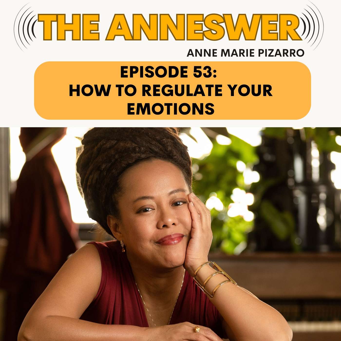 Episode 53: How to Regulate Your Emotions: Spiritual Roots, Financial Cost & 3 Steps That Work