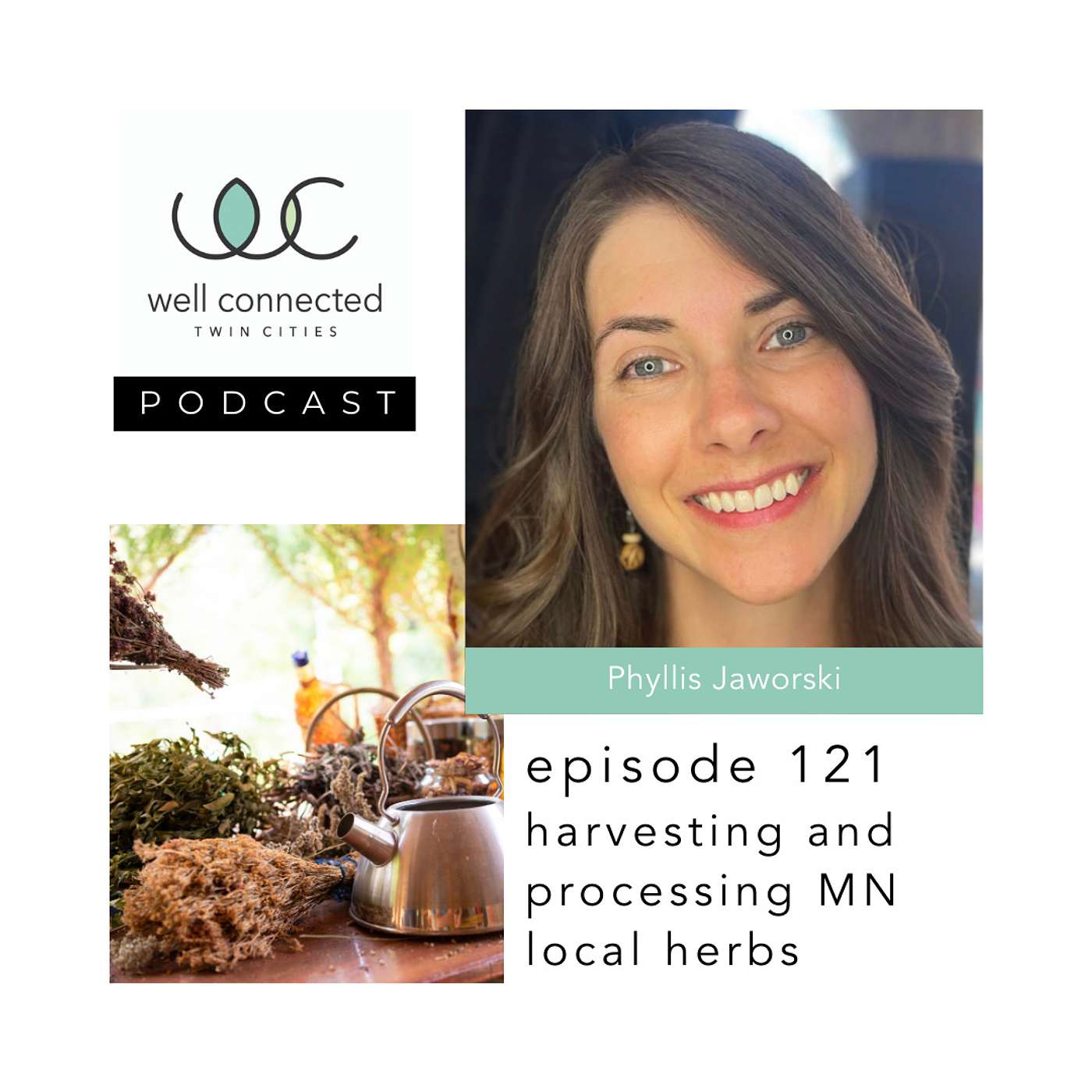Well Connected Twin Cities Podcast