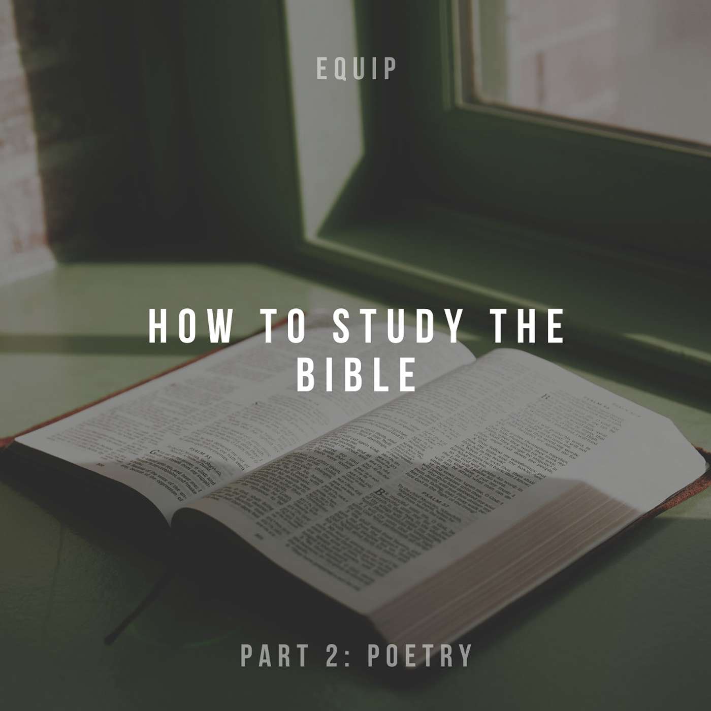 S7 E3 - How to Study the Bible: Poetry