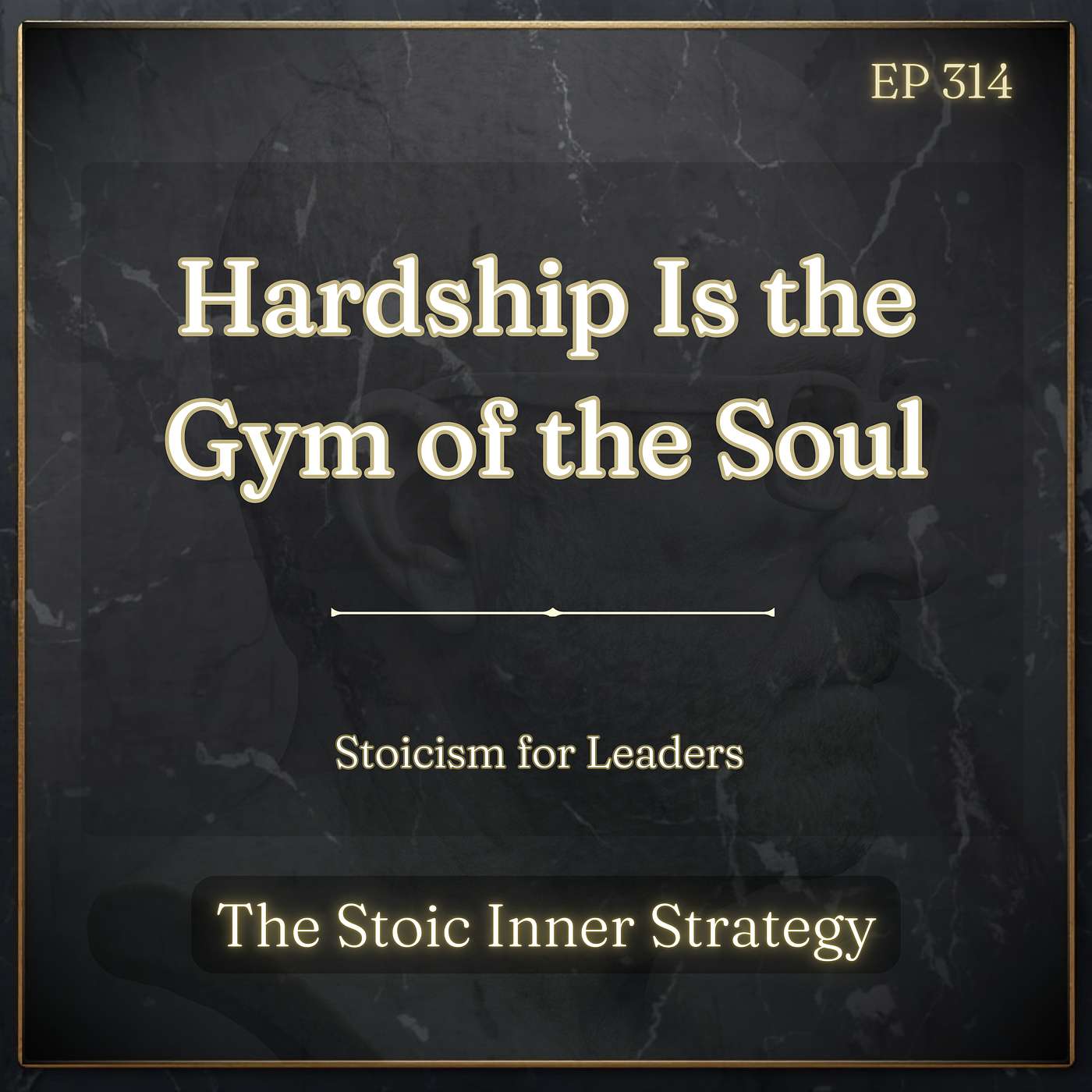 Ep 314 – Hardship Is the Gym of the Soul episode artwork
