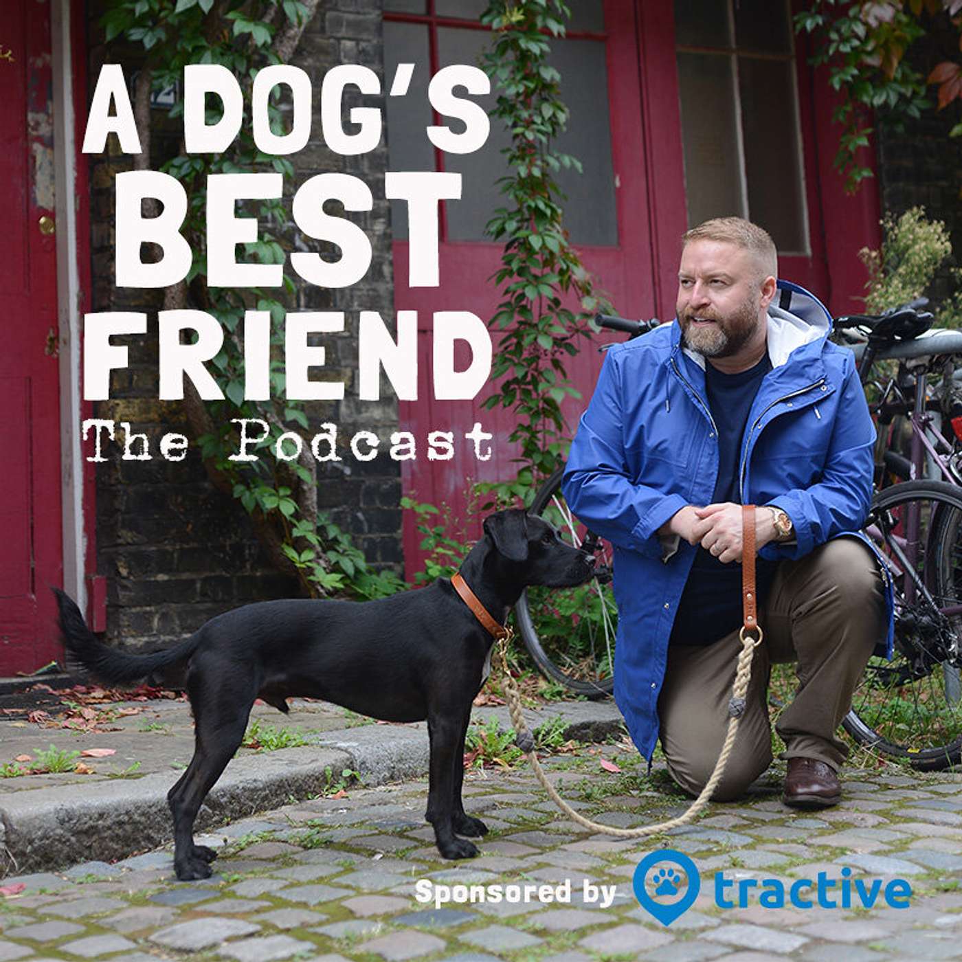 A Dog\'s Best Friend