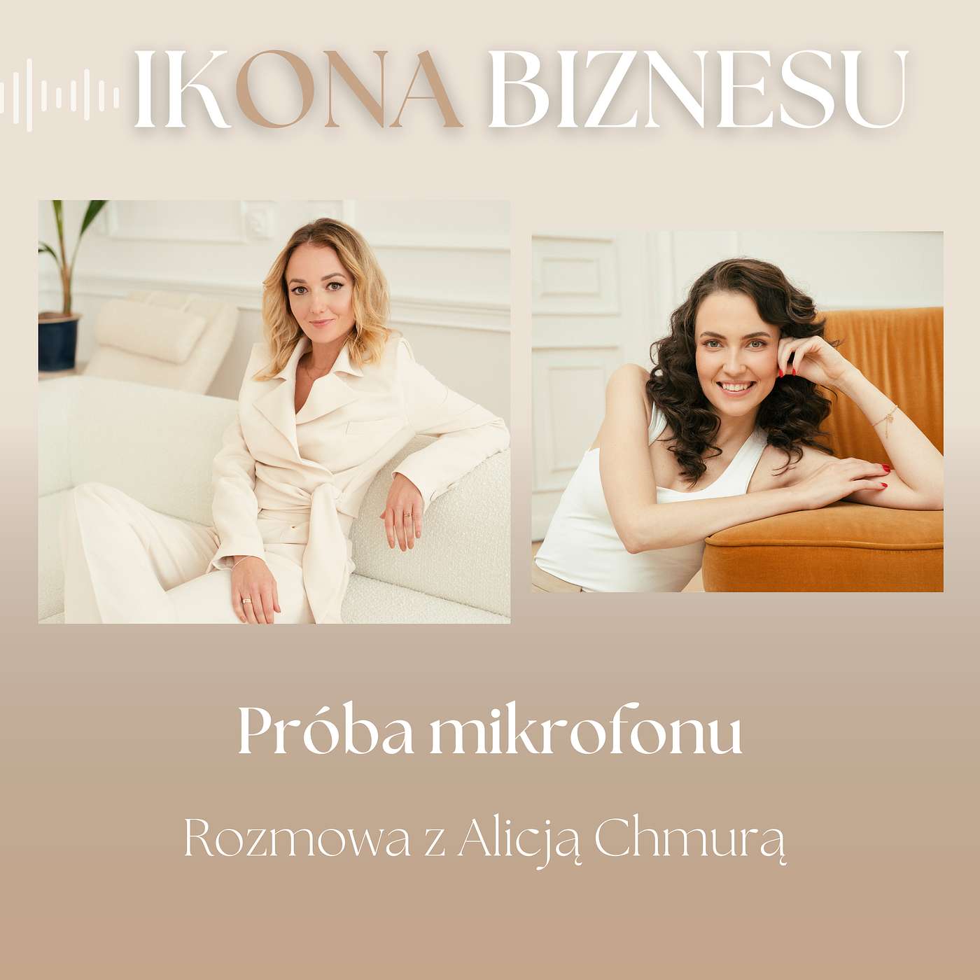 IKONA BIZNESU