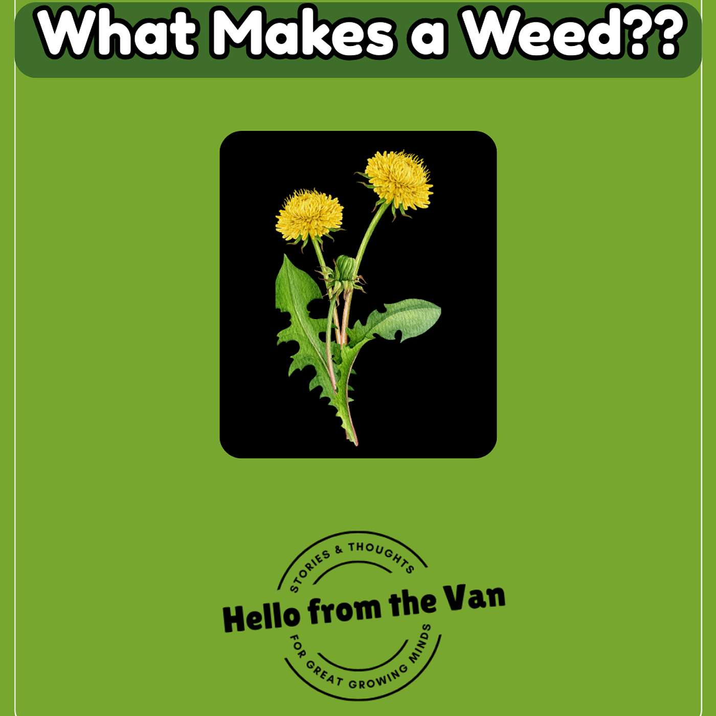 What Makes a Weed? episode artwork