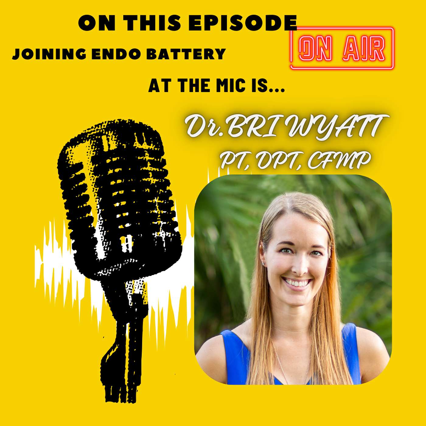 Integrating Functional and Pelvic Floor Therapies for Endometriosis With Dr. Bri Wyatt episode artwork
