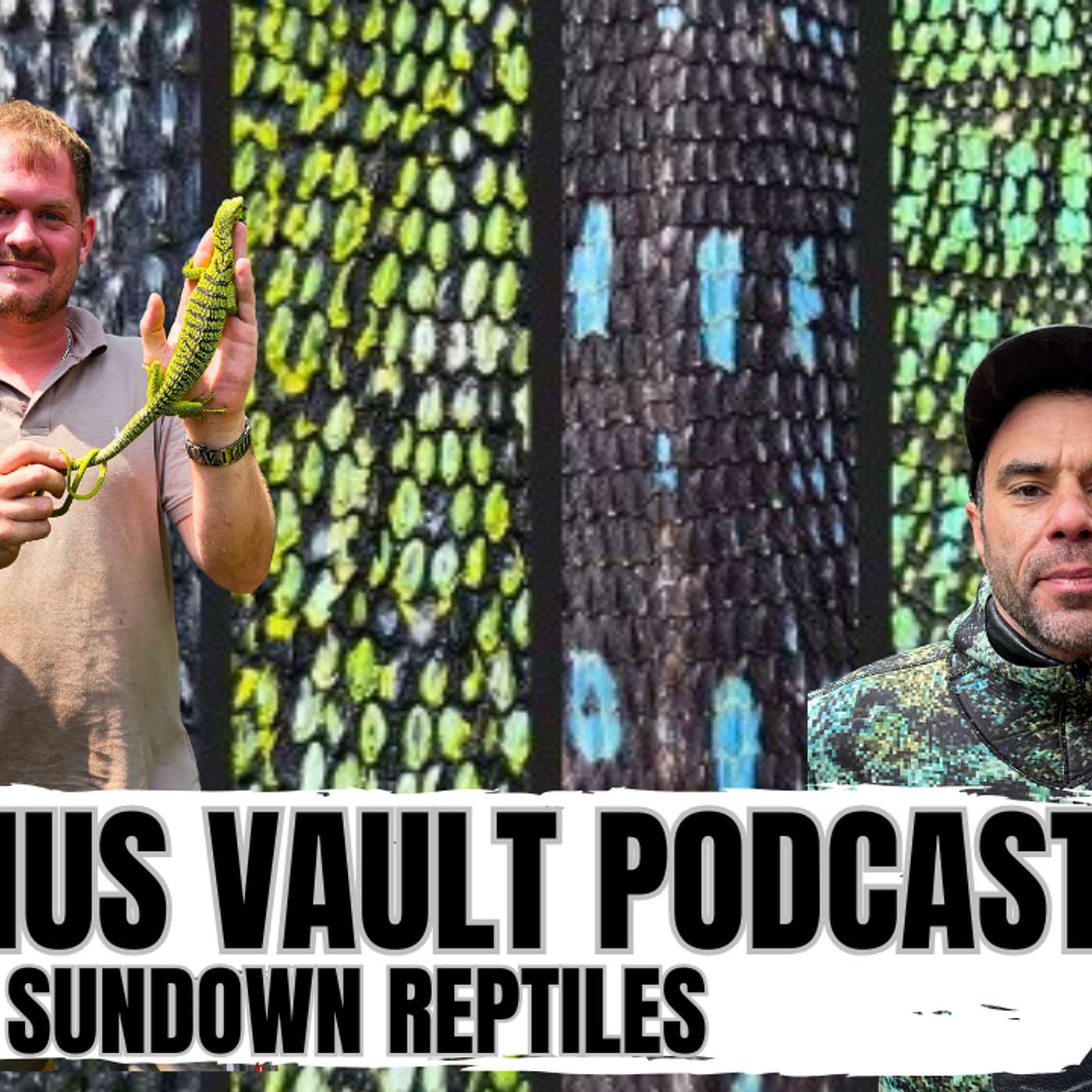 MORE TRUTH ABOUT TREE MONITORS IN THE WILD | VARANUS VAULT PODCAST LIVE