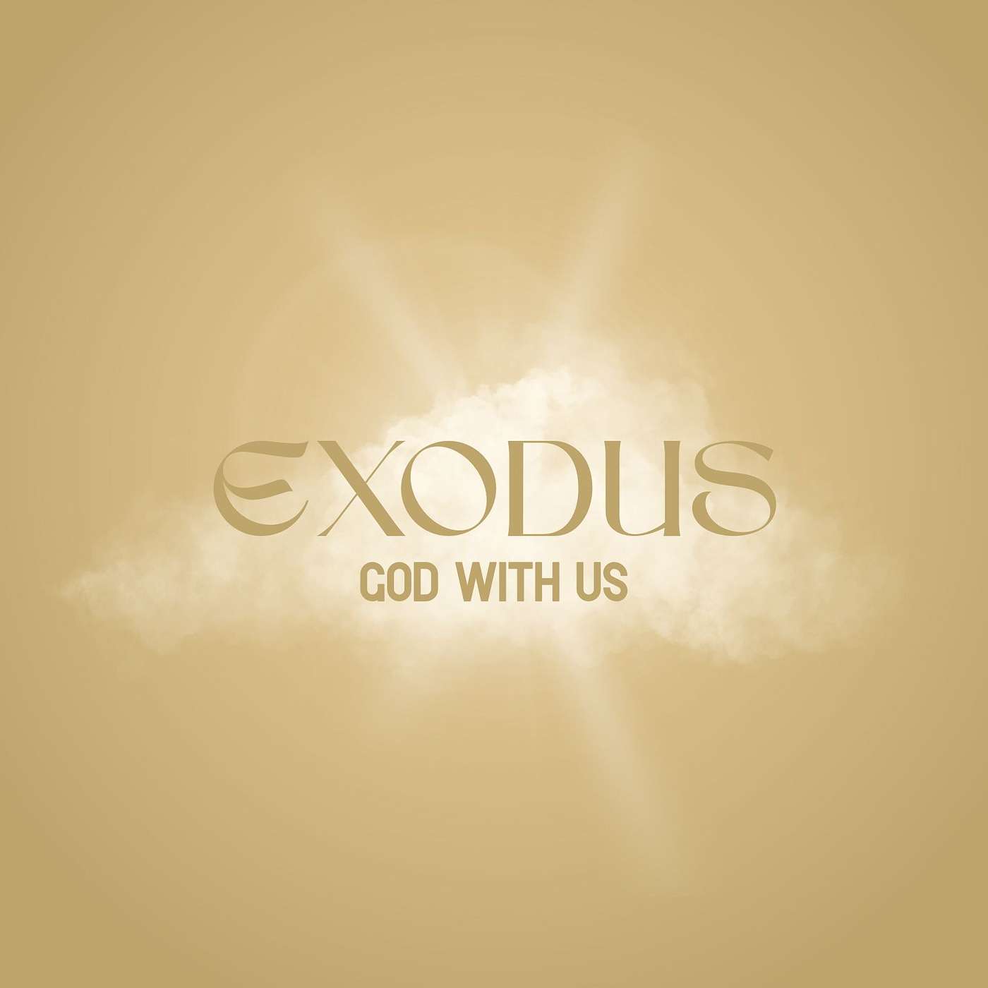 Exodus 40:1-2, 16-38 episode artwork