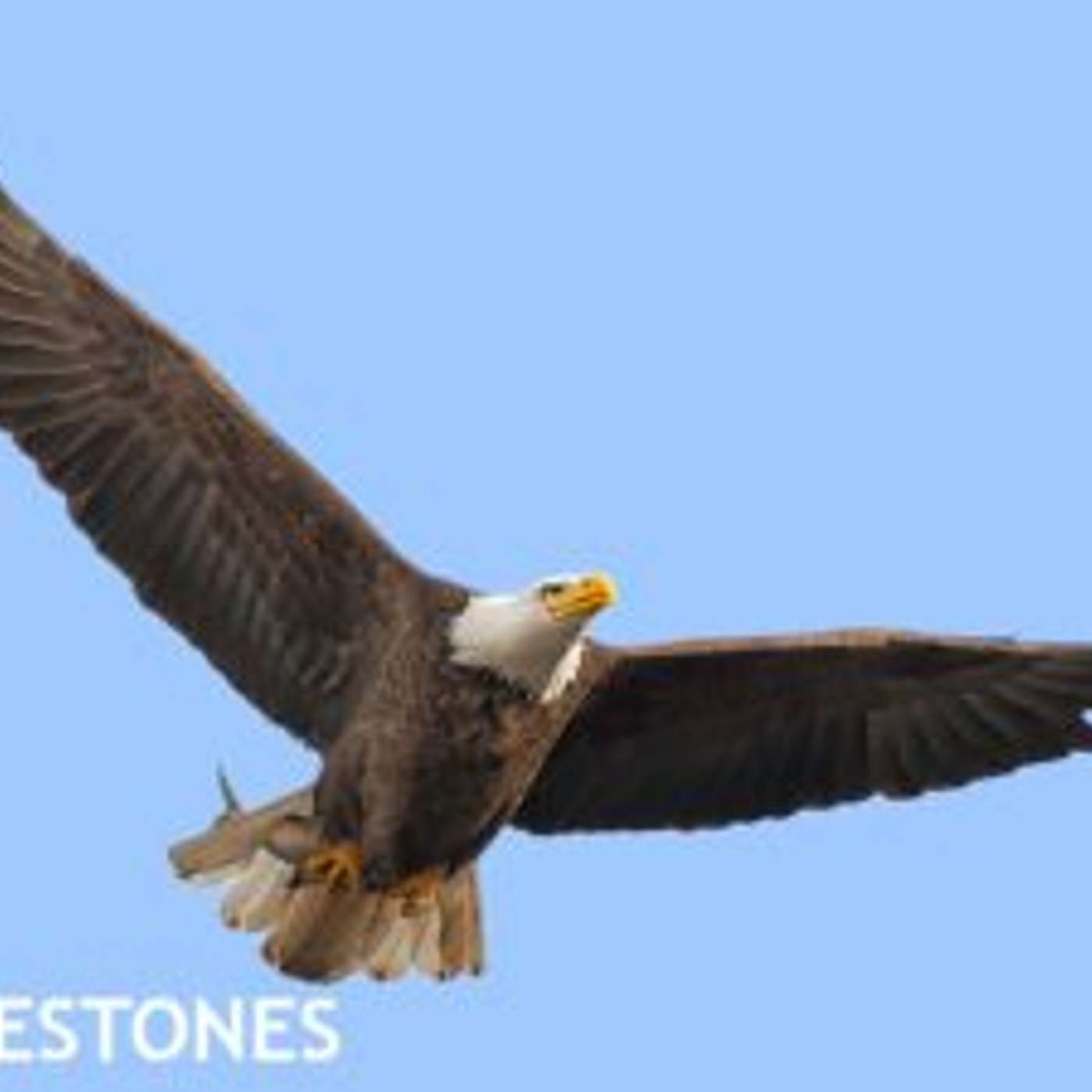 Henrico Citizen Audio Articles
