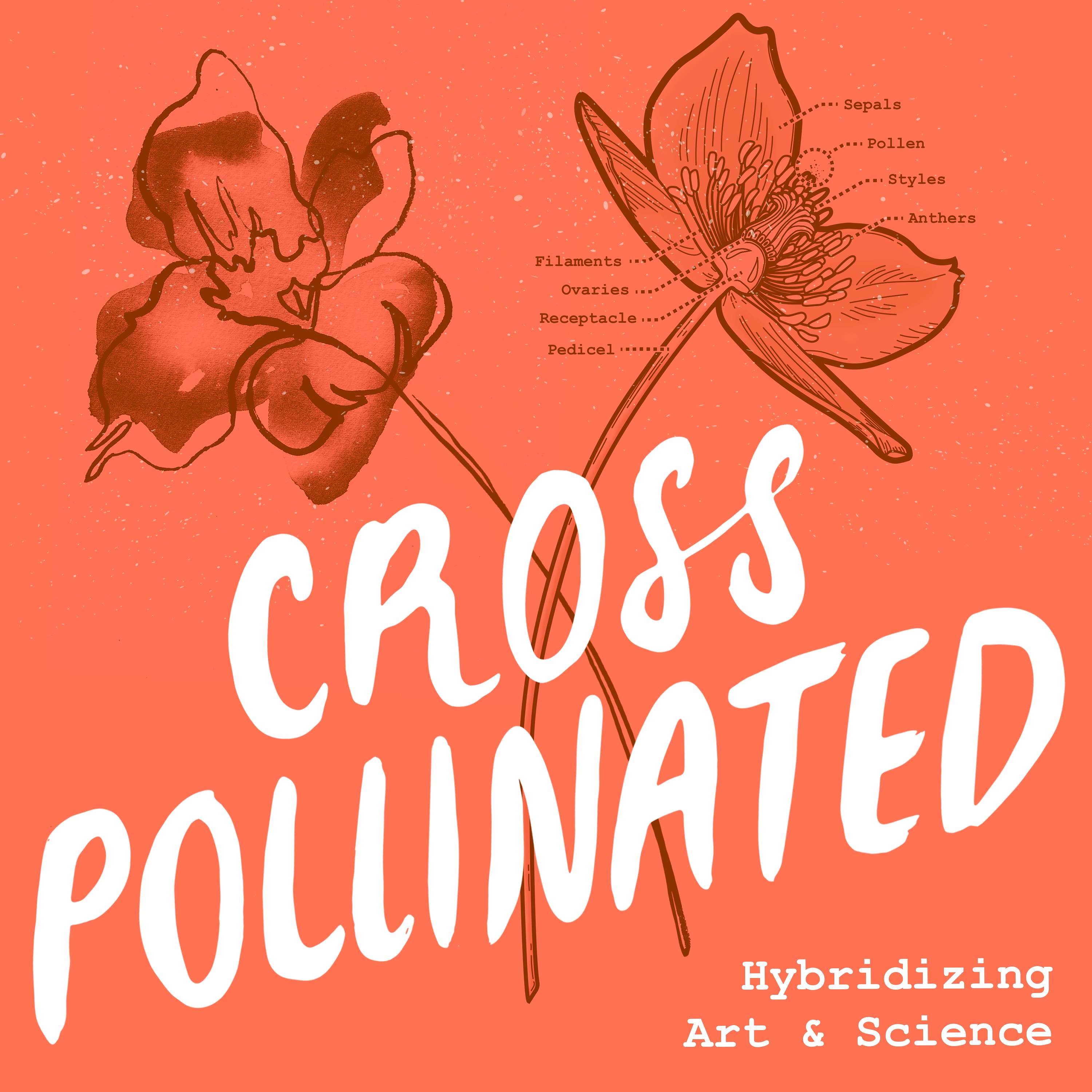 Cross Pollinated