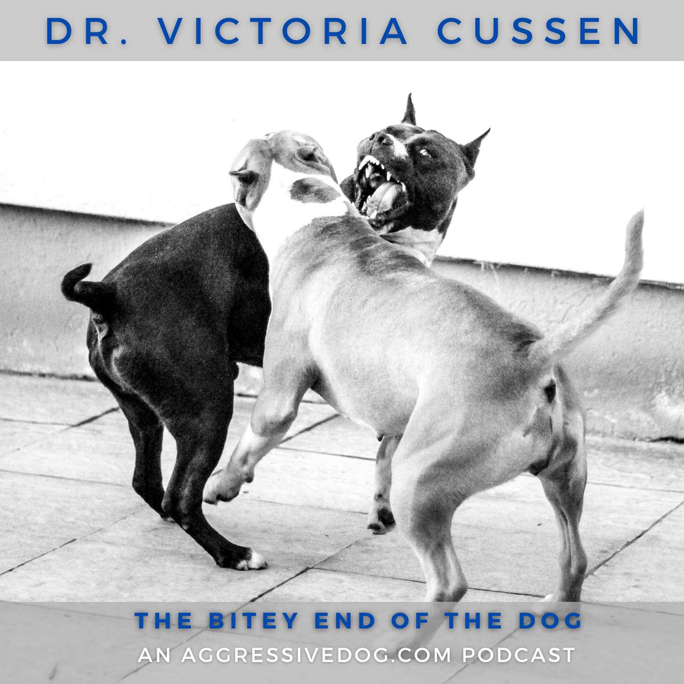 The Bitey End of the Dog