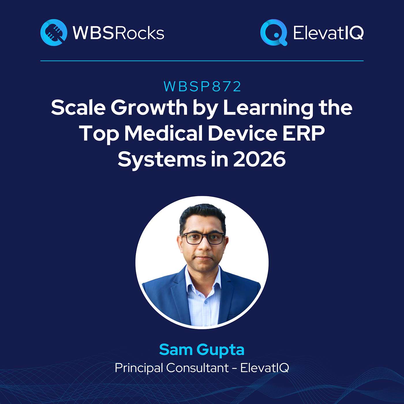WBSRocks: Scaling Growth with AI, Enterprise Software, and Digital Transformation