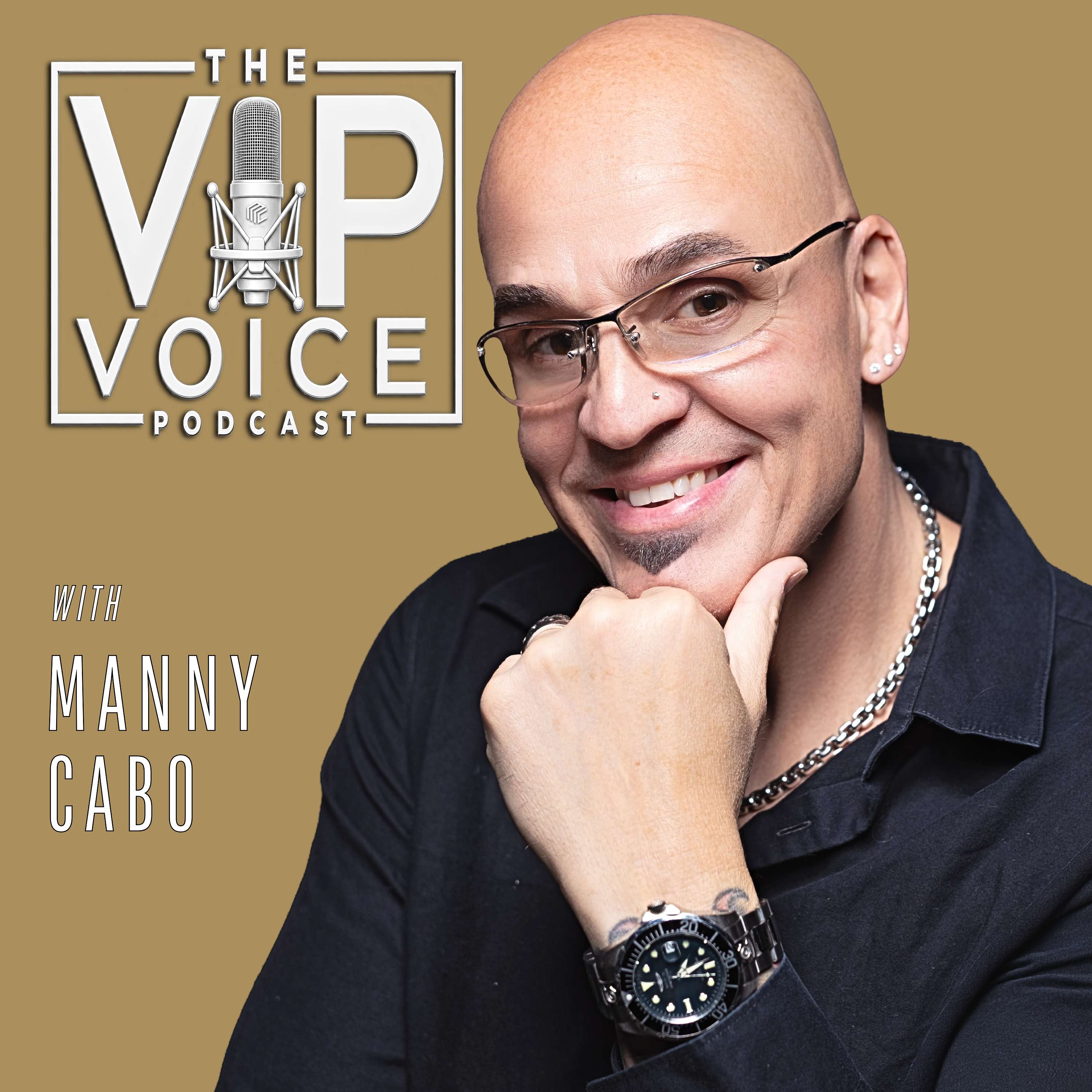 The VIP Voice | "Find Your Voice. Own The Room!" Artwork