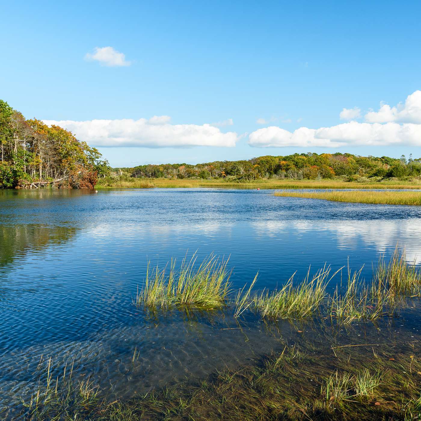 31: Deciphering How Methane-Eating Bacteria Thrive