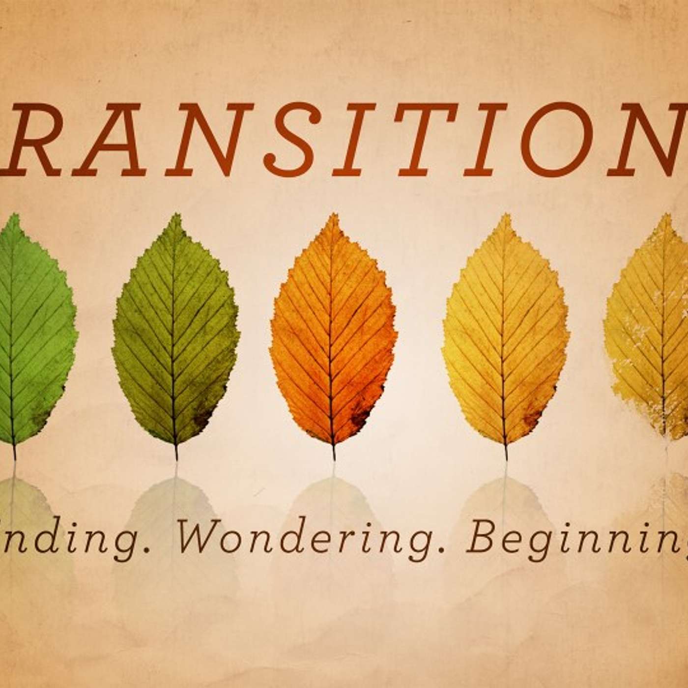 Three Transitions Every Believer Has to Make