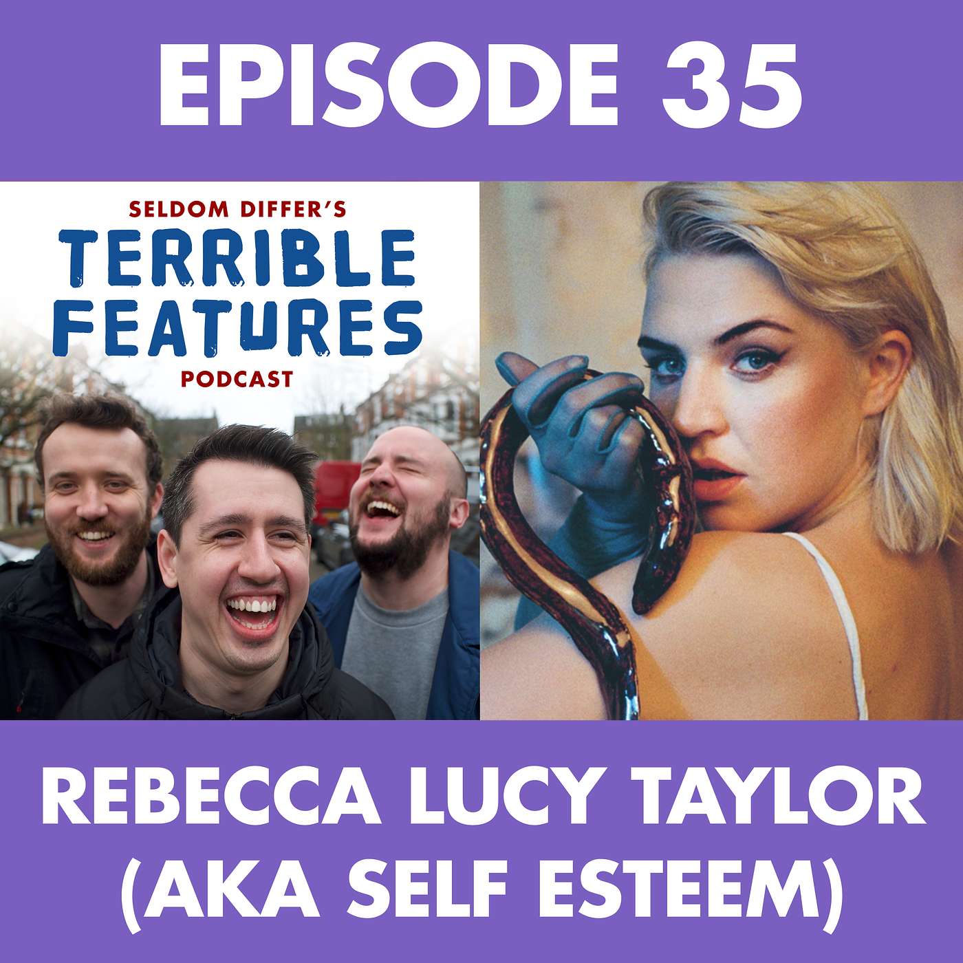 Episode 35: Rebecca Lucy Taylor aka Self Esteem (Special Guest) episode artwork