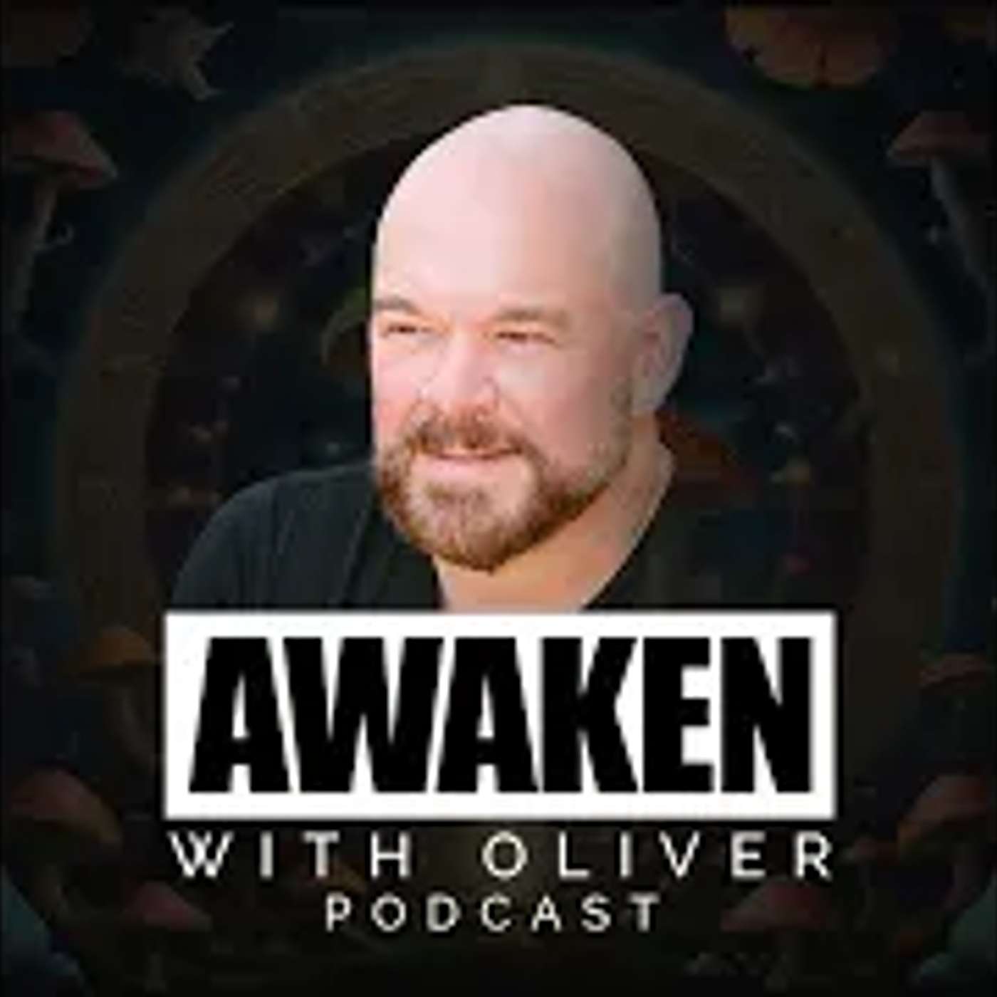 #405 Can Your Thoughts Create Wealth? The Law of Attraction, Manifestation & Abundance Mindset | David (The Stream of David) #405 Can Your Thoughts Create Wealth? The Law of Attraction, Manifestation & Abundance Mindset | David (The Stream of David)