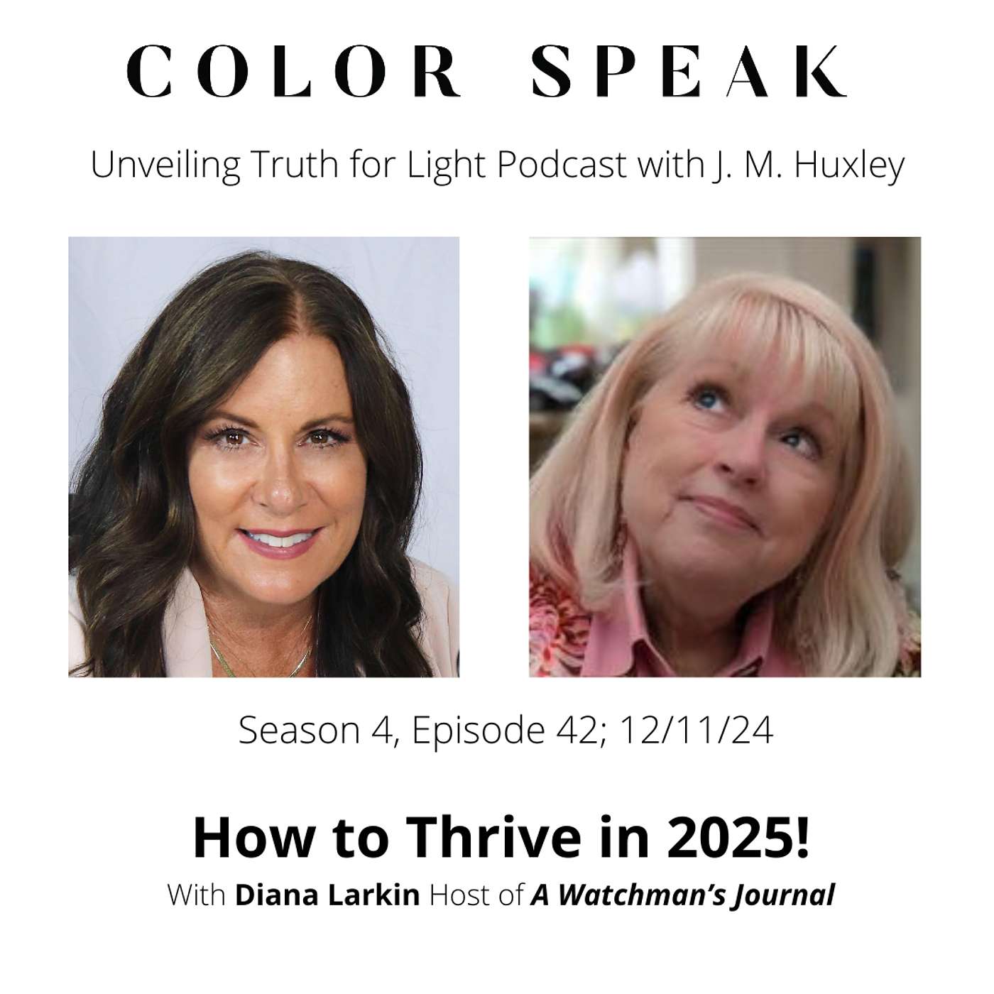 Color Speak, Season 4, Episode 42: How to Thrive in 2025! with Diana Larkin episode artwork