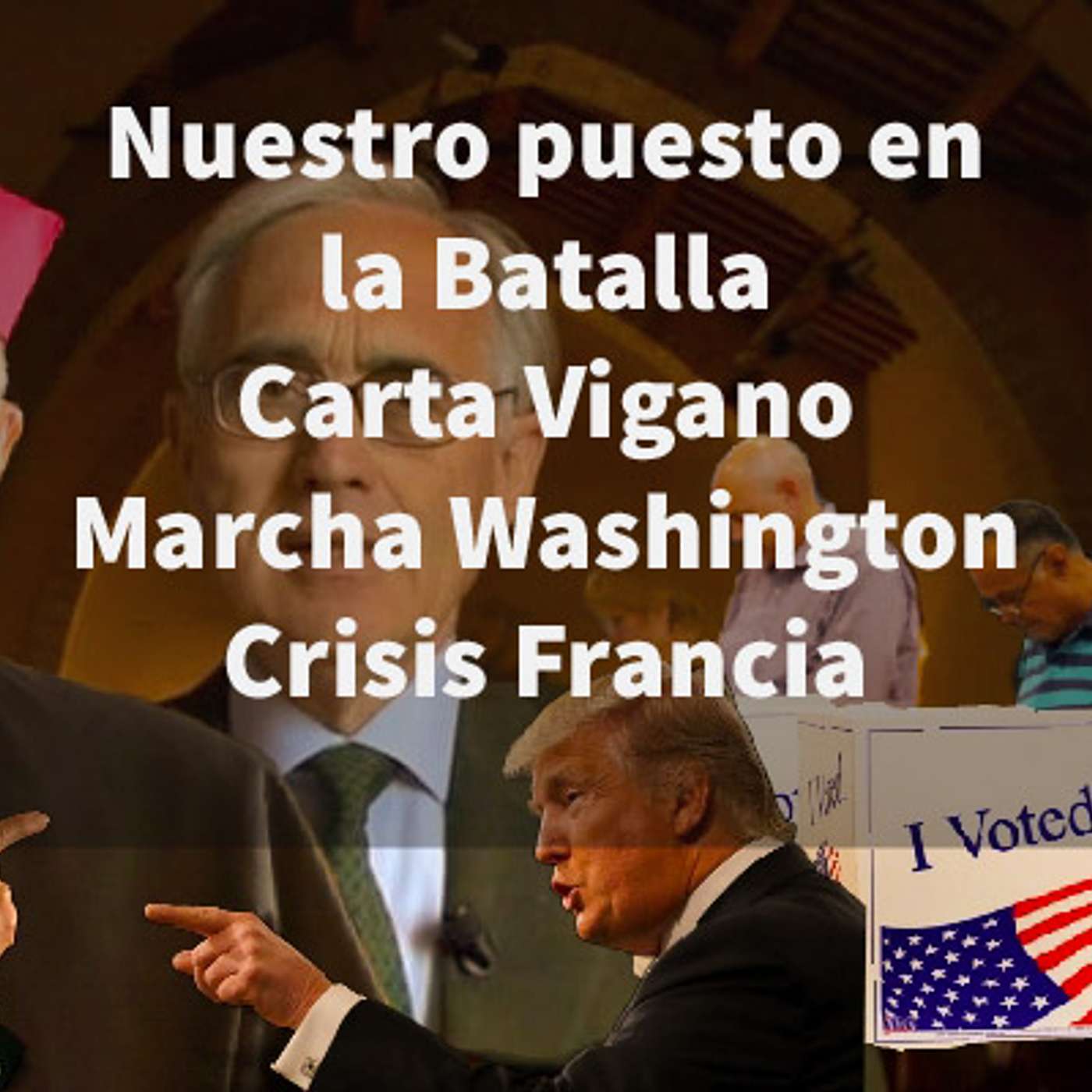 Episodio 391: 🤷‍♂️ Nuestro Puesto en la Batalla  📃Carta Vigano 🚶‍♂️ Marcha Washington 😰 Crisis Francia 😔 De Mattei episode artwork