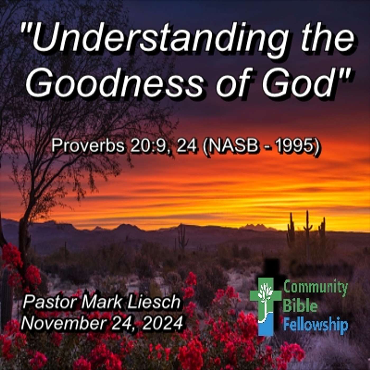 11.24.24 Understanding The Goodness Of God - Proverbs 20:9, 24