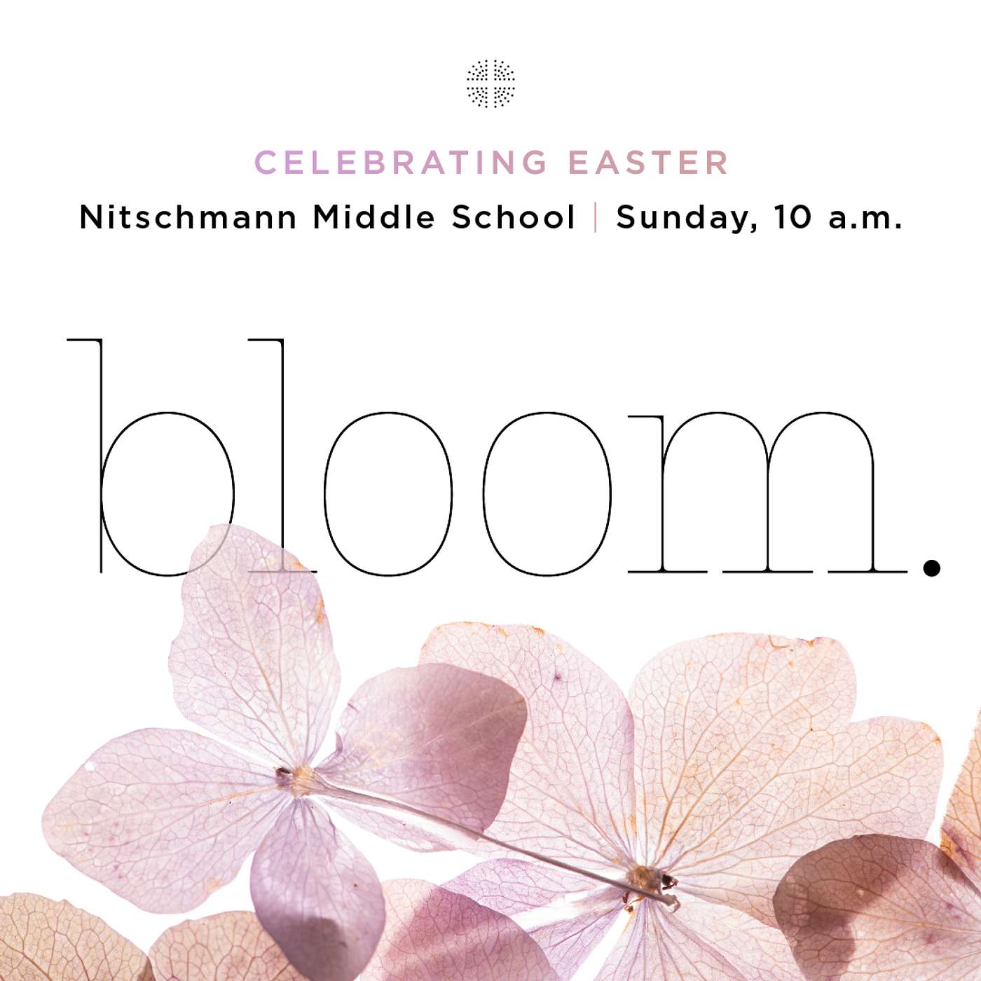 Bloom: Peace