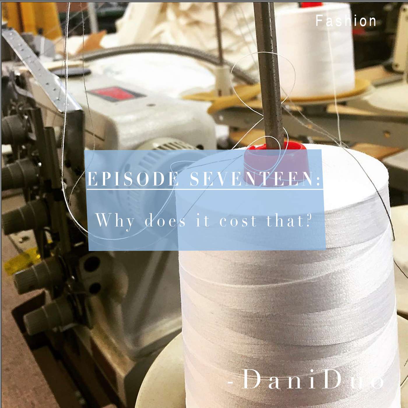 Episode 17: Fashion- Why does it cost that?