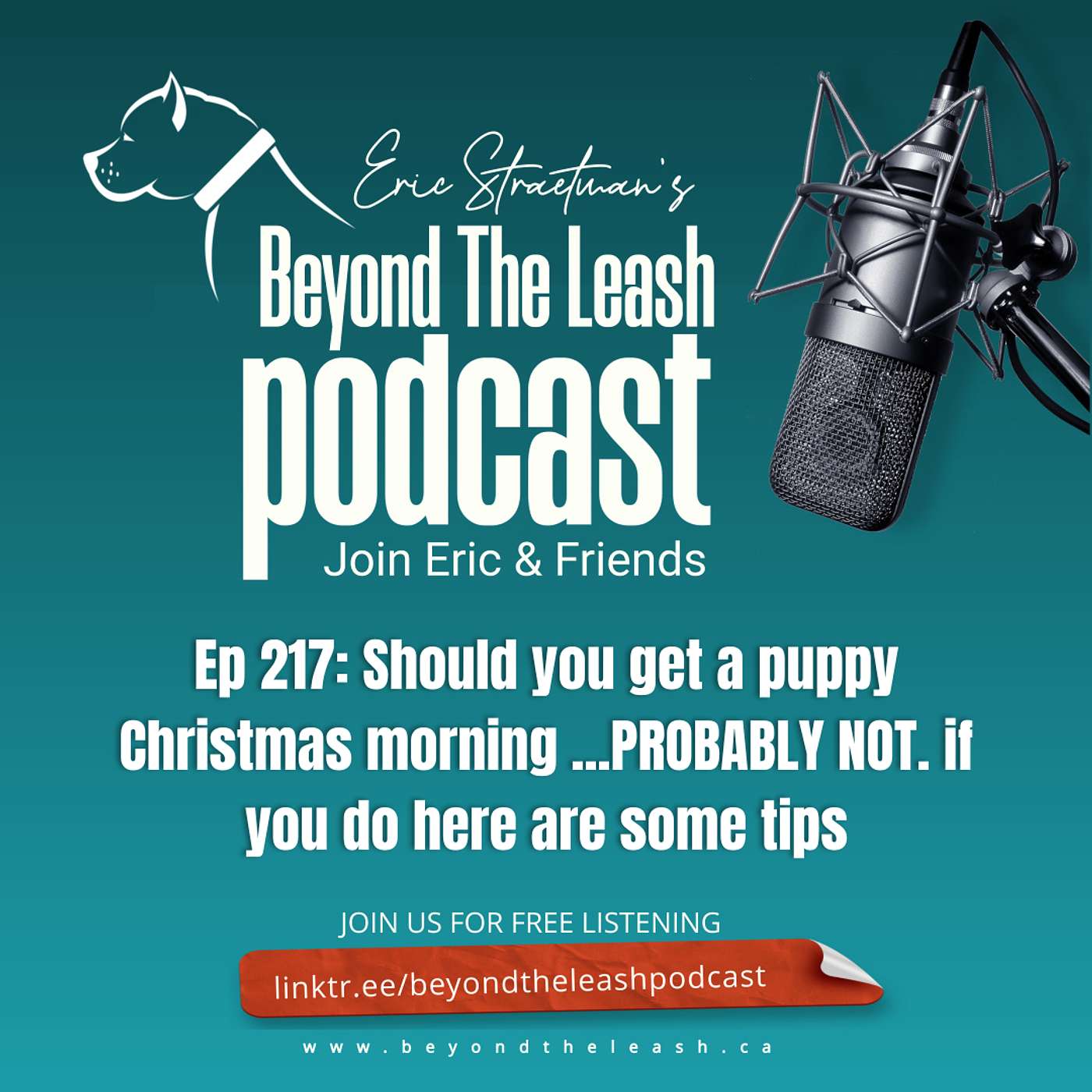 Ep 217: Should you get a puppy Christmas morning ...PROBABLY NOT. if you do here are some tips
