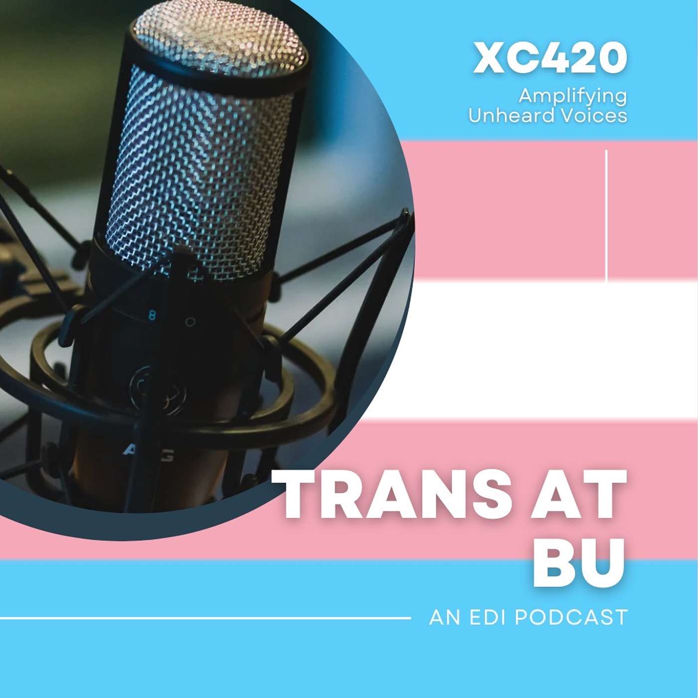 Trans at BU episode artwork